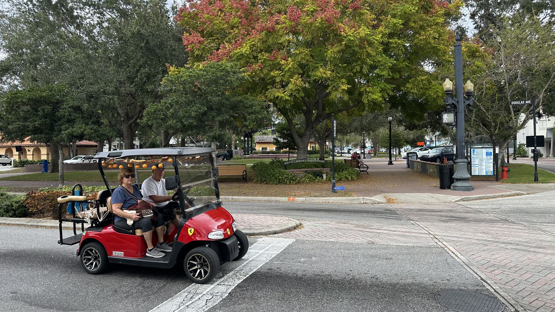 a couple and their dog riding in a golf cart at a Dunedin intersection