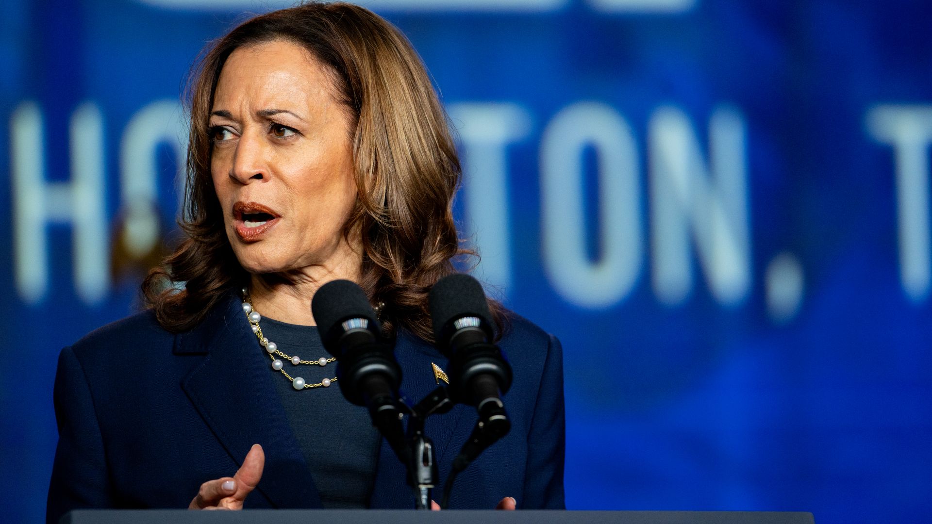 Democratic Presidential candidate Vice President Harris speaking in Houston in July 2024.