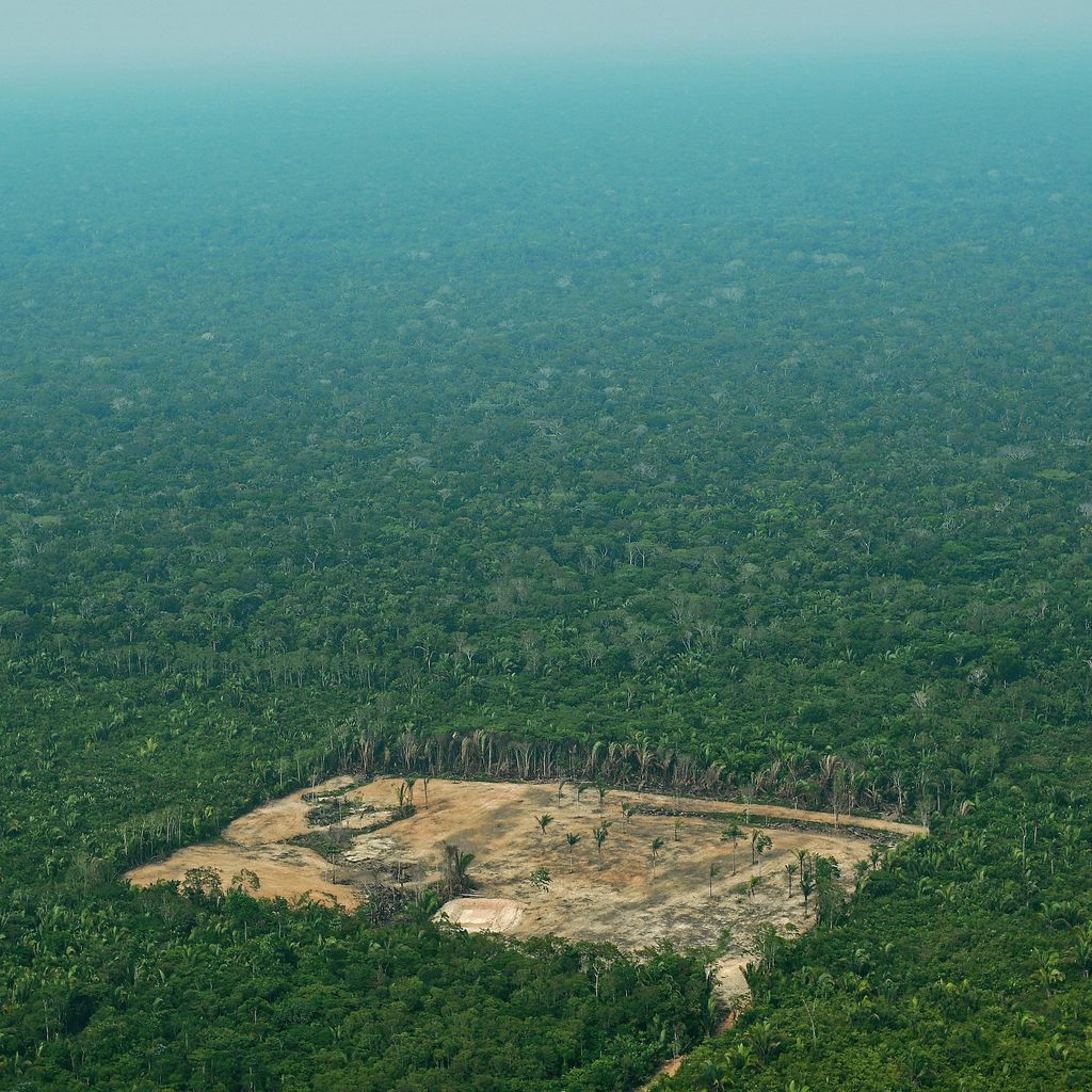 洋楽 GERSON CORTES A POLUICAO amazon-rainforest-