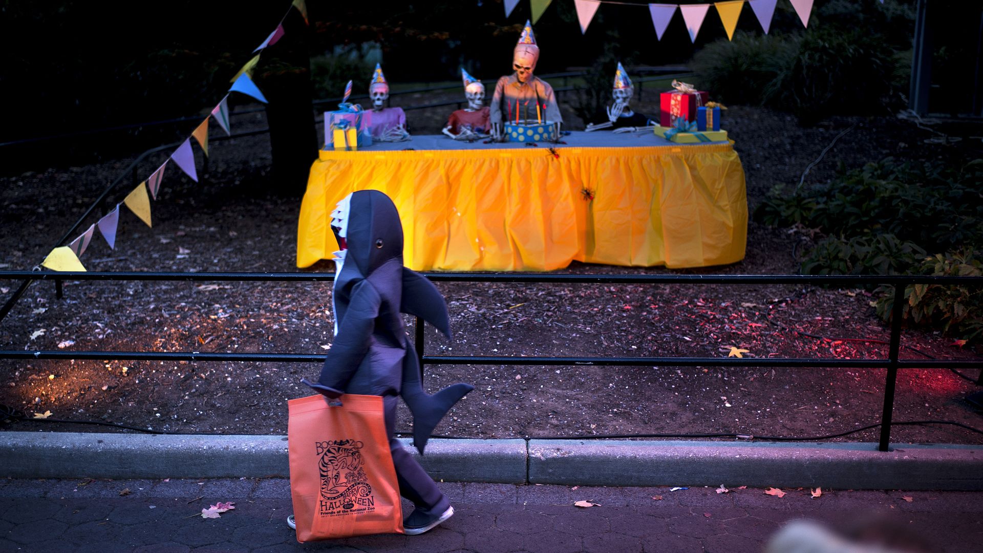 A trick or treater walks past a table of skeletons during Boo at the Zoo at the Smithsonian's National Zoo October 25, 2013 in Washington, DC. Those who purchased tickets were able to walk through the zoo and trick or treat in celebration of the upcoming Halloween. AFP PHOTO/Brendan SMIALOWSKI (Phot
