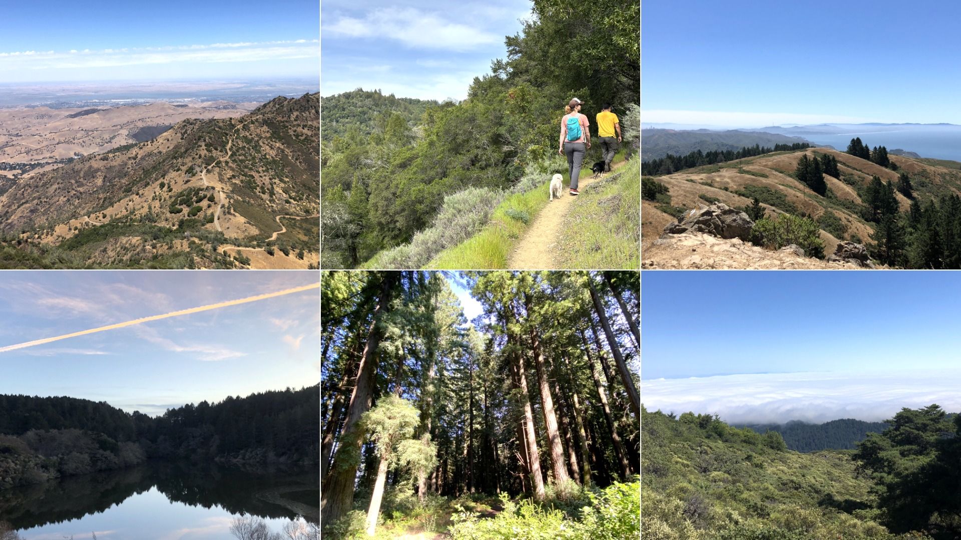 Collage of six nature scenes with hiking trails, forest, mountains, trees, and fog under clear blue skies, including two people walking dogs on a trail surrounded by greenery.