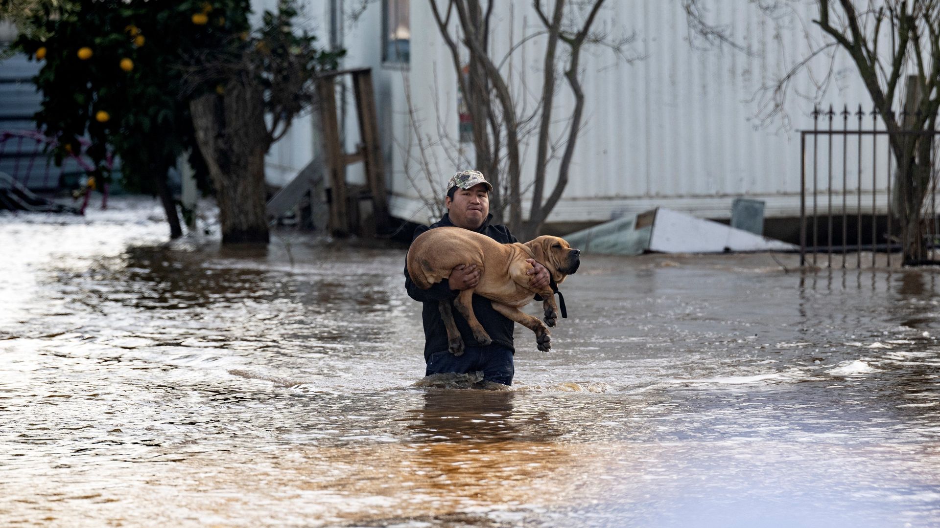 Man carries a dog through floodwaters in California. 