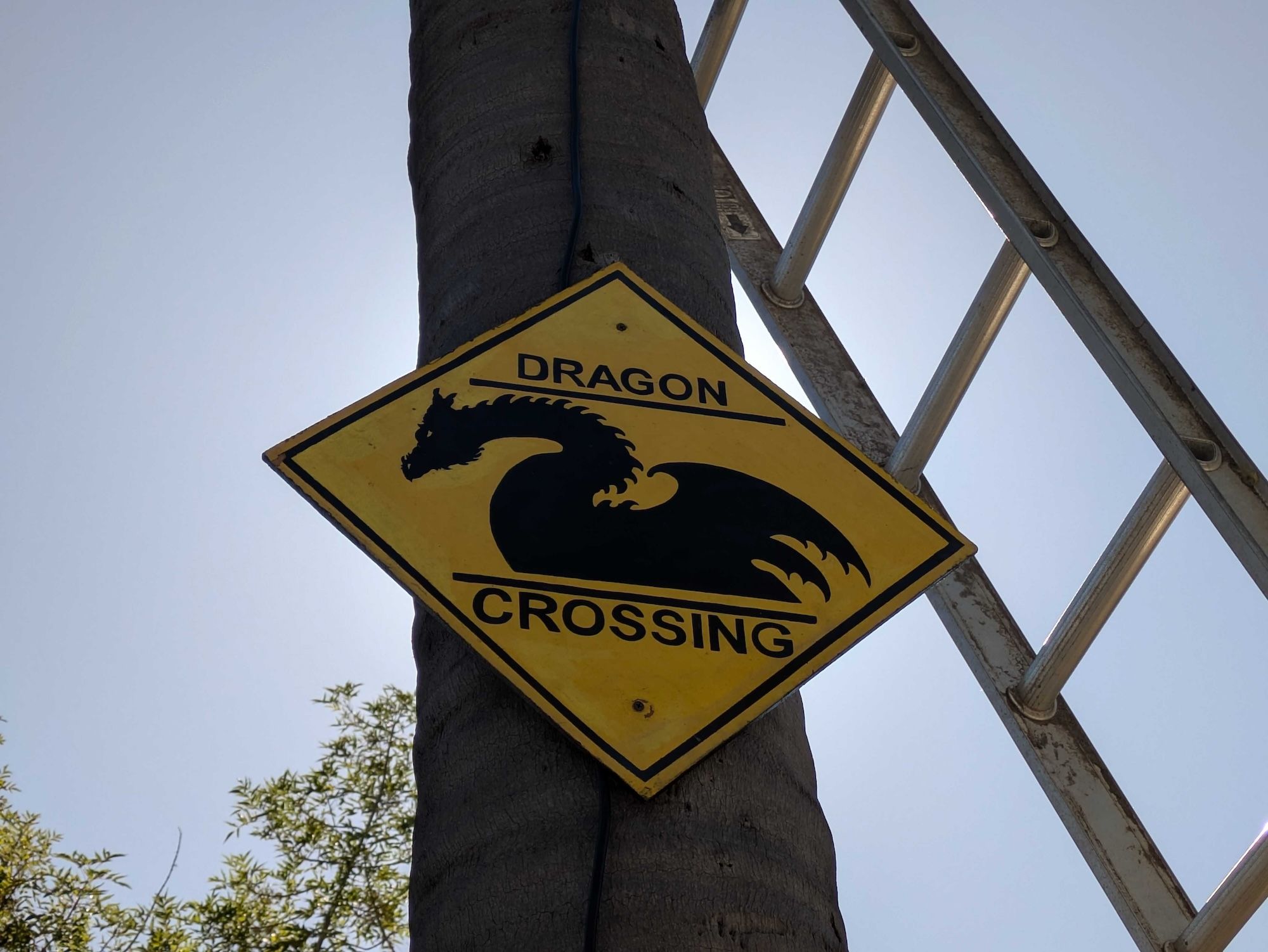 Yellow diamond-shaped sign on a tree with a black silhouette of a dragon and the words "DRAGON CROSSING" against a clear blue sky background.