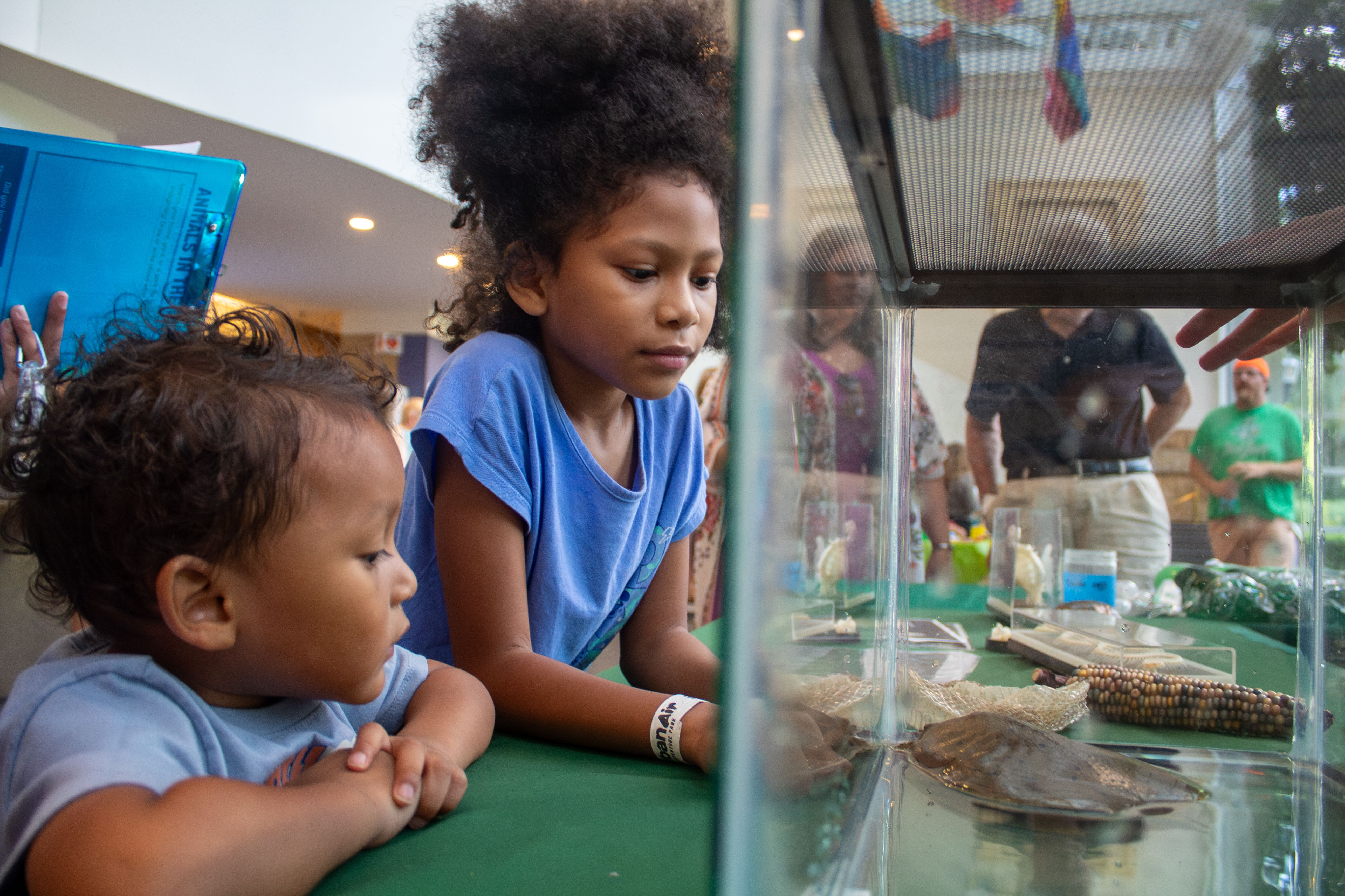 mint Museum Wild Wednesdays