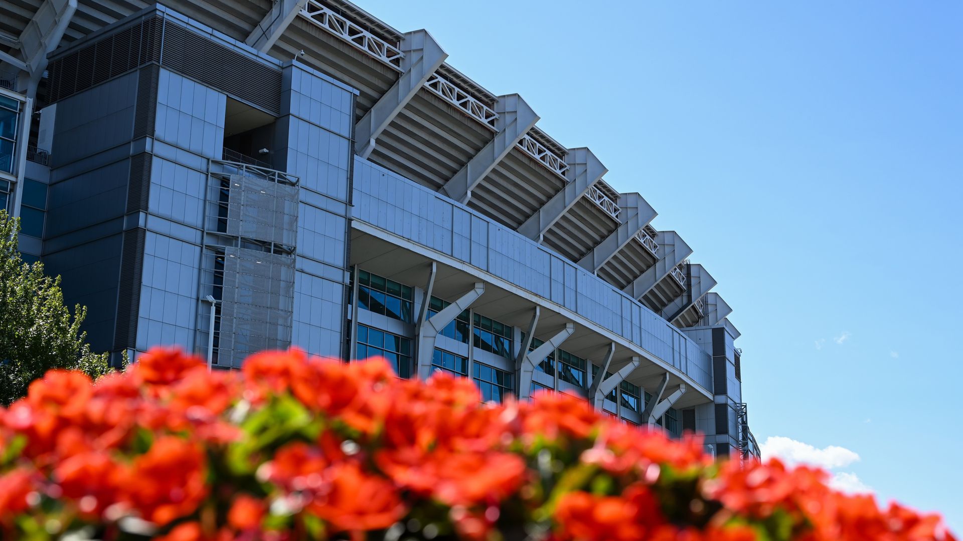 A photo of the Cleveland Browns' stadium behind a bush of flowers. 