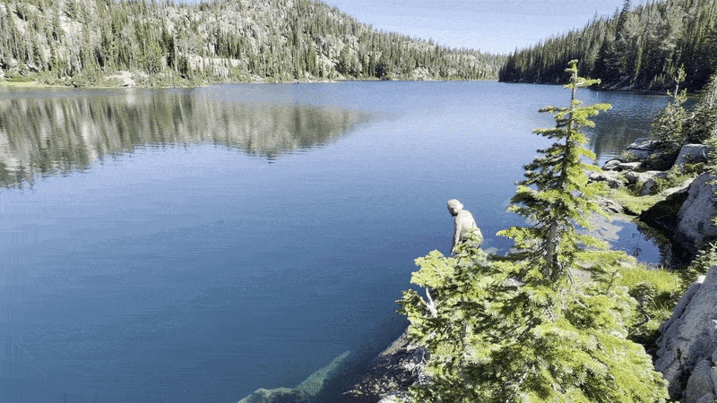 Animated gif of a person diving into a lake surrounded by mountains and trees.