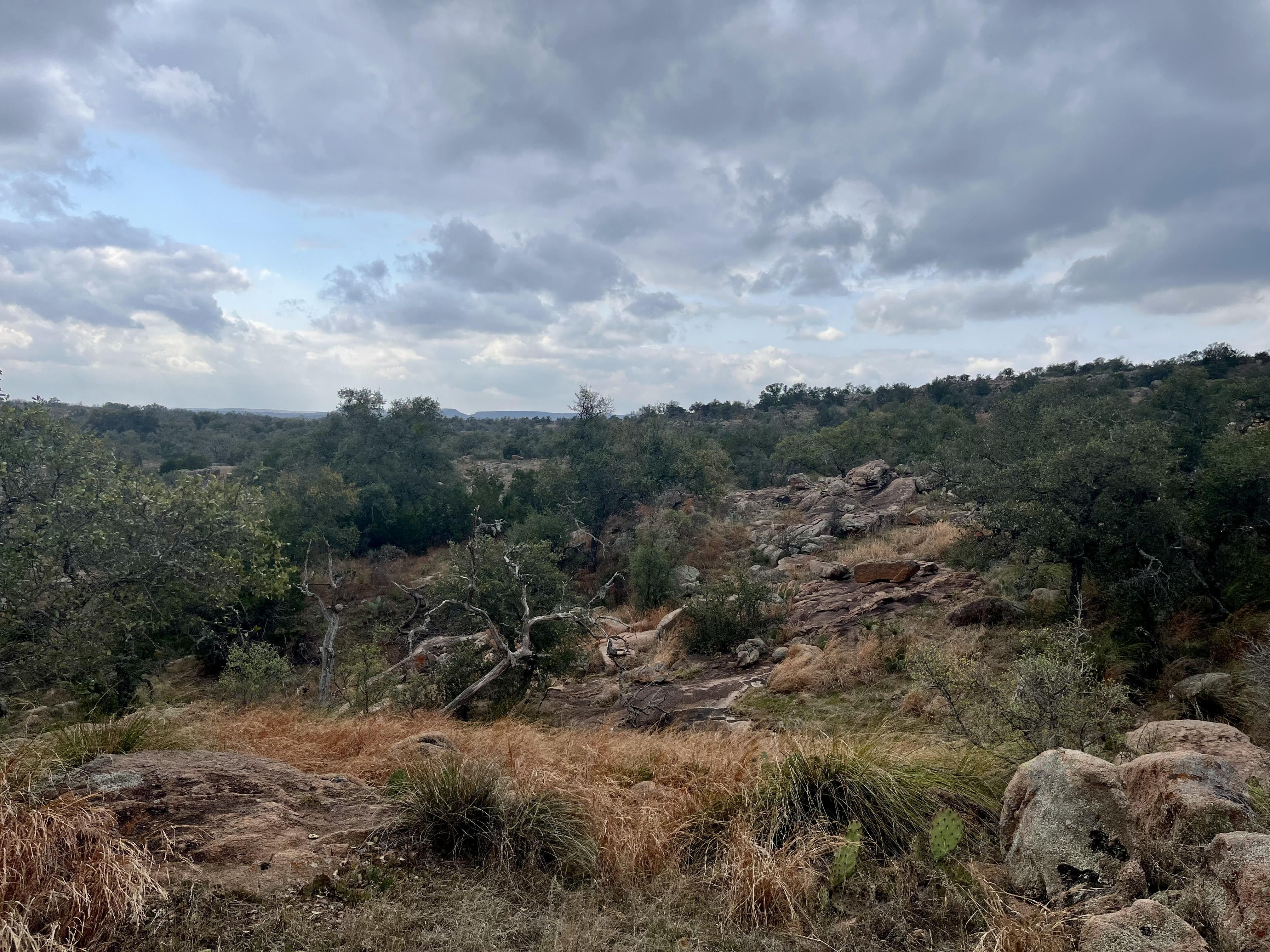 A rocky scrubland with scattered trees, dry grasses, and large boulders in the foreground; a fallen tree lies among rocks as gray clouds drift over distant hills. This is the new northern property at Enchanted Rock State Natural Area.
