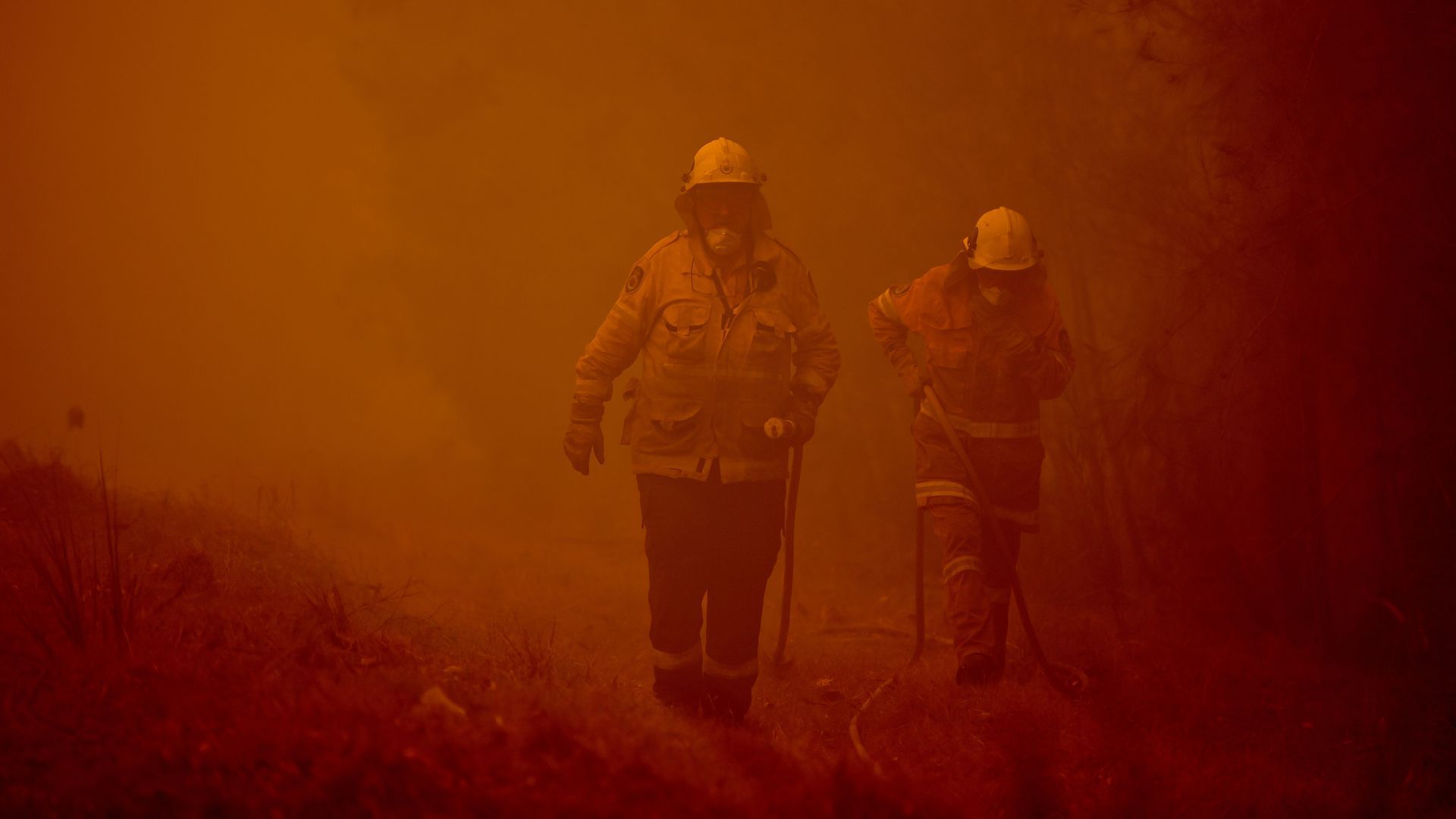 Firefighters tackle a wildfire in thick smoke in the town of Moruya, south of Batemans Bay, New South Wales on Saturday. 