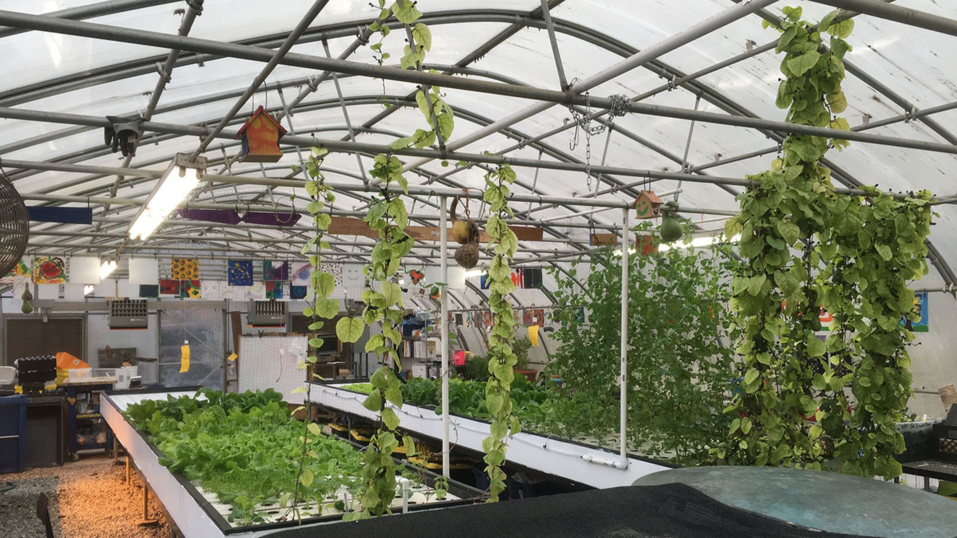 Garinger-Aquaponic-Garden