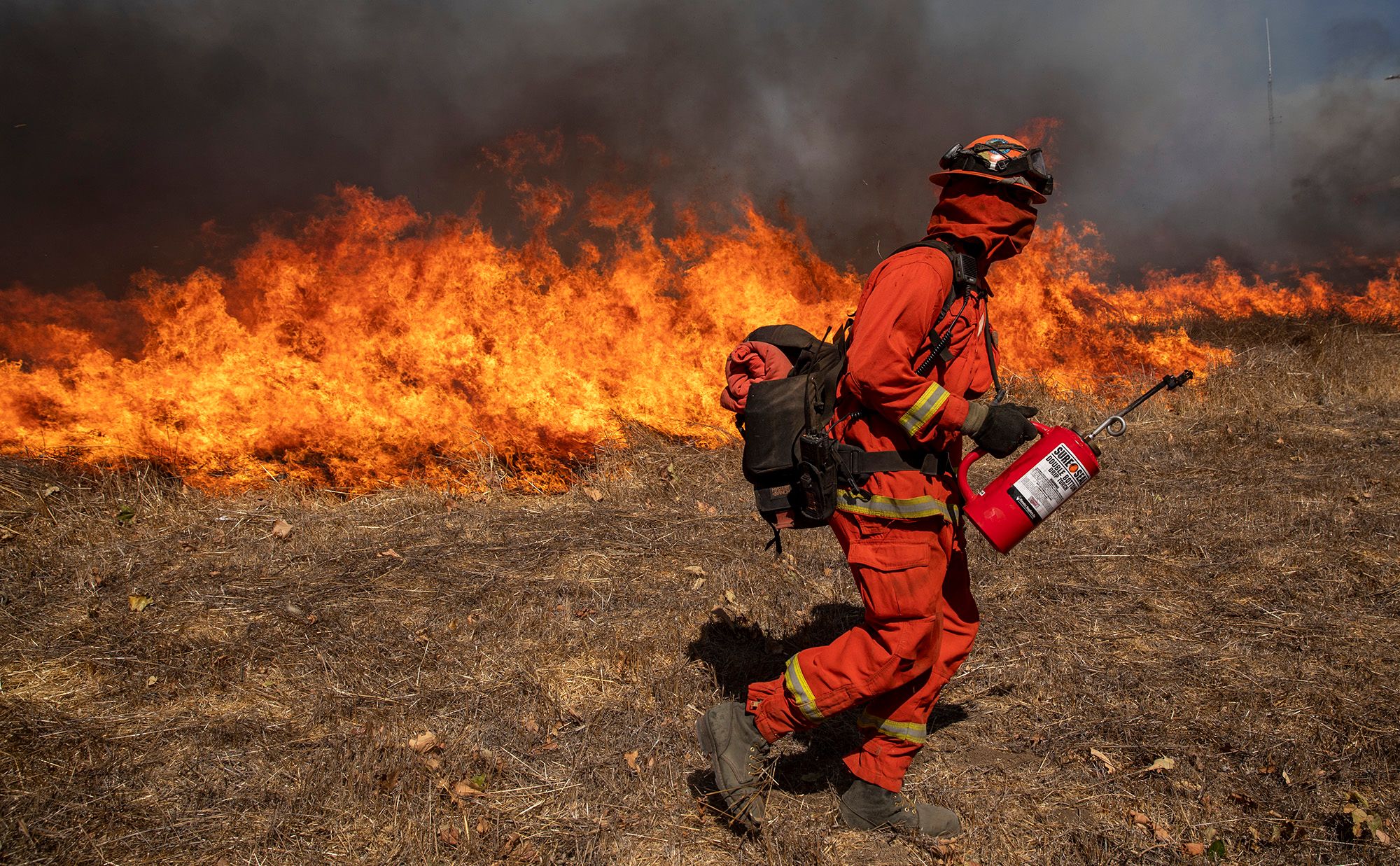 Inmate crews set backfires to heavy brush as firefighters try to keep the 2019 Easy fire from crossing the road. 