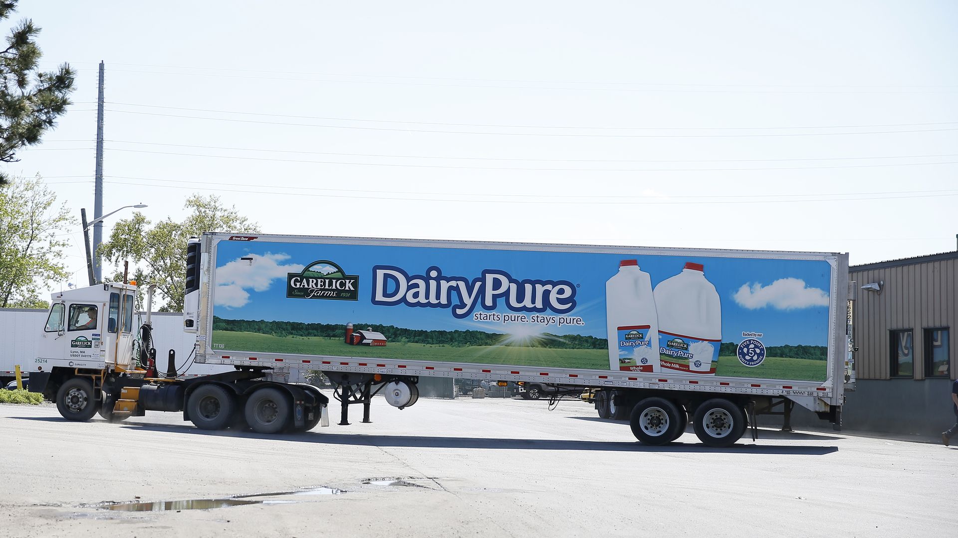 Dairy Pure milk truck