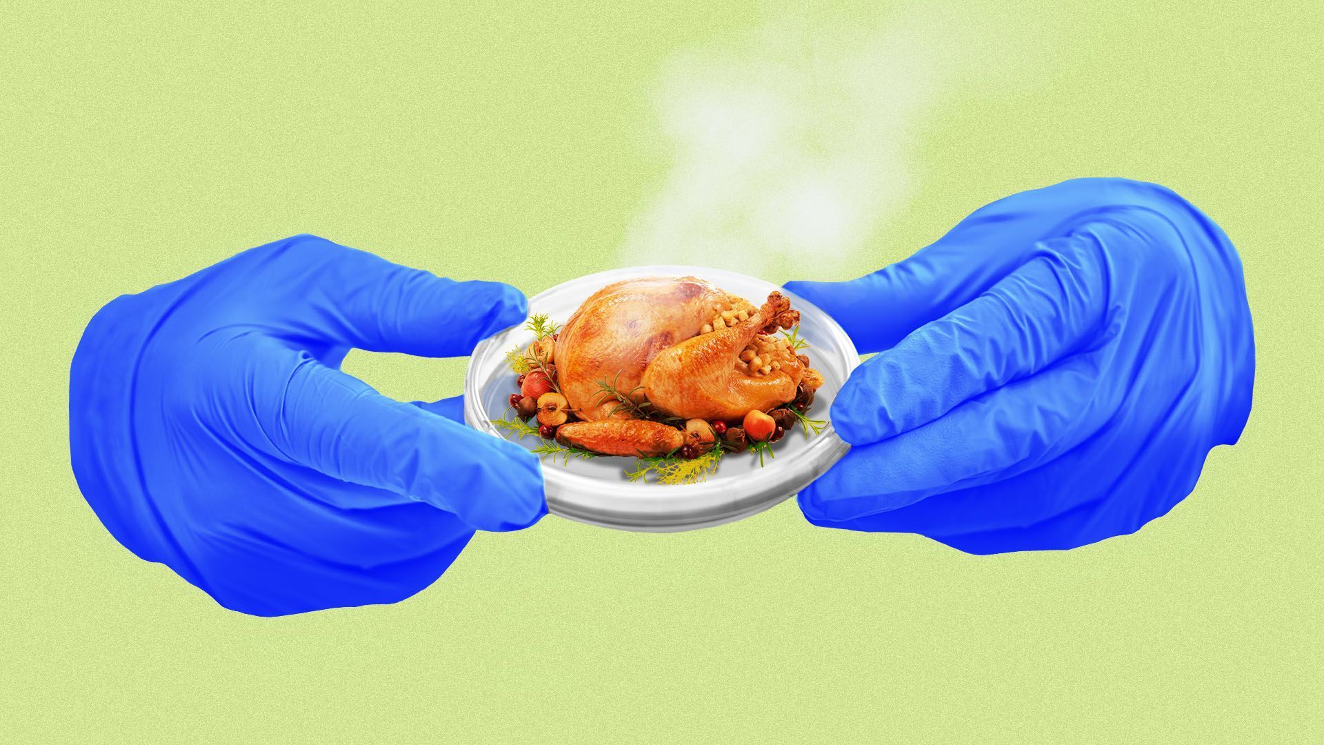 Illustration of a mini turkey in a petri dish