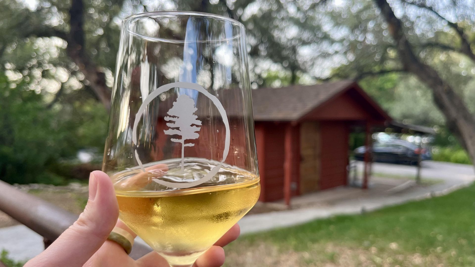 Hand holding a wine glass with a tree logo, filled with golden wine. Background shows a red wooden building, green grass, and trees under a bright sky.