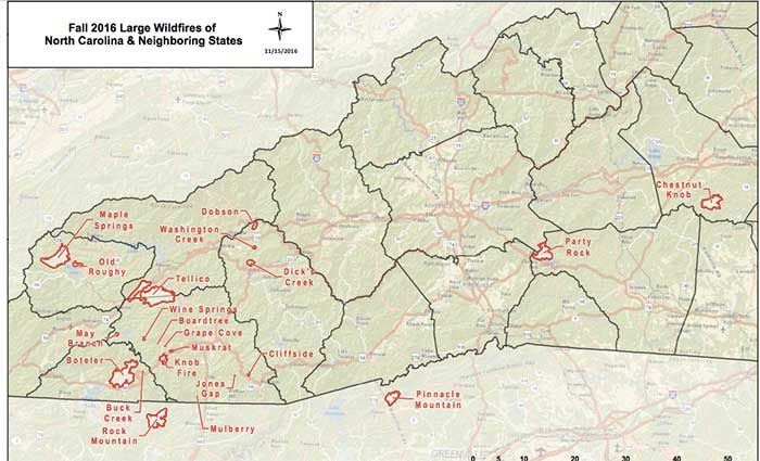 Image via the N.C. Forest Service