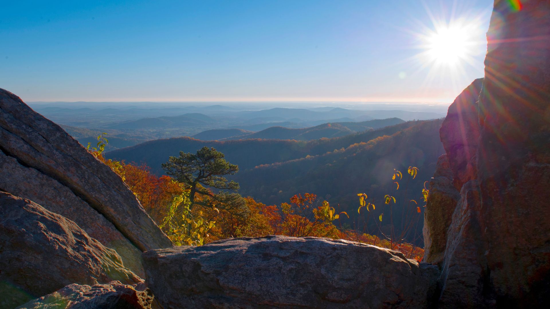view from skyline drive in shenandoah national park