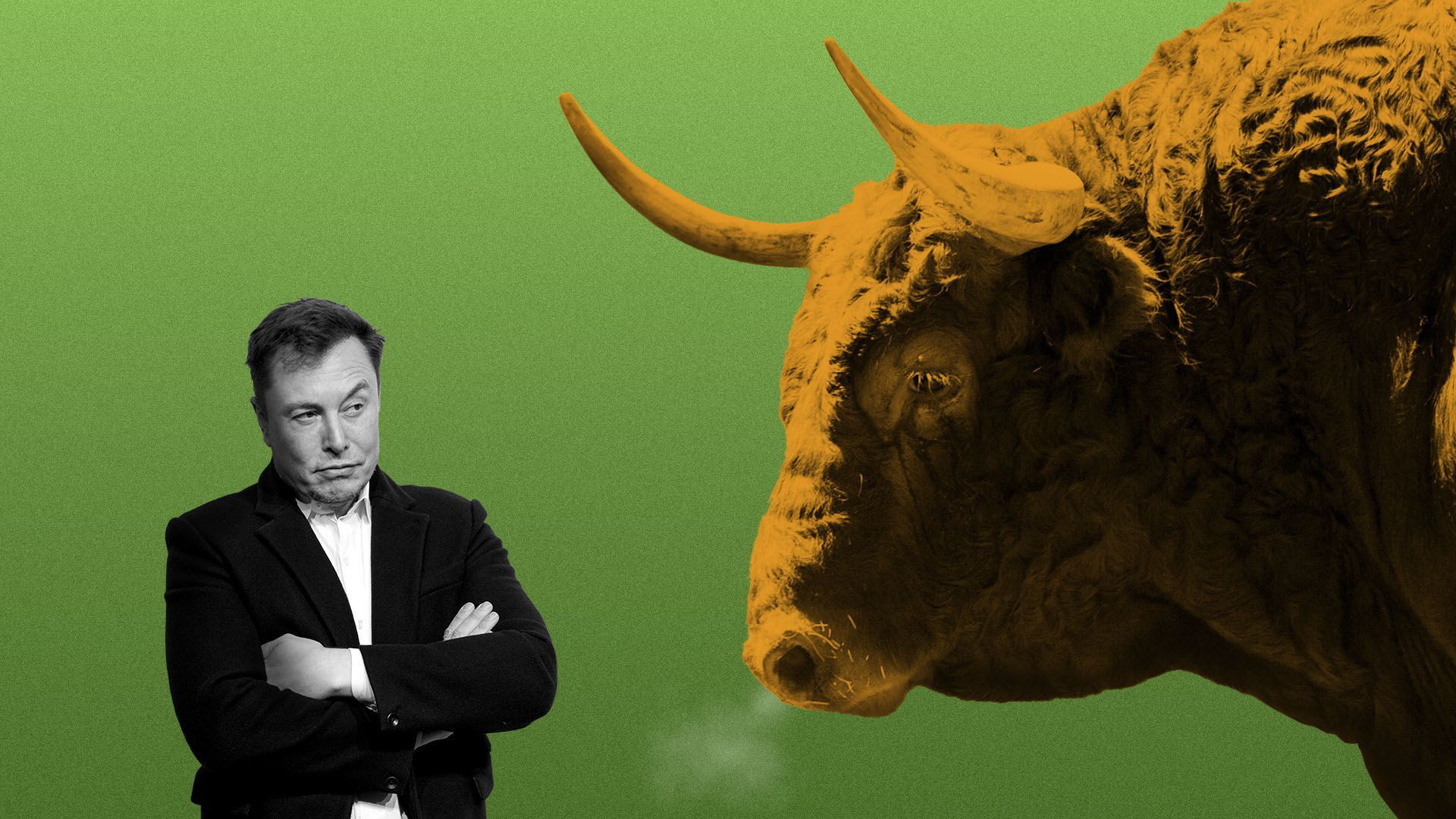 Photo illustration of Elon Musk with his arms crossed staring down a giant bull