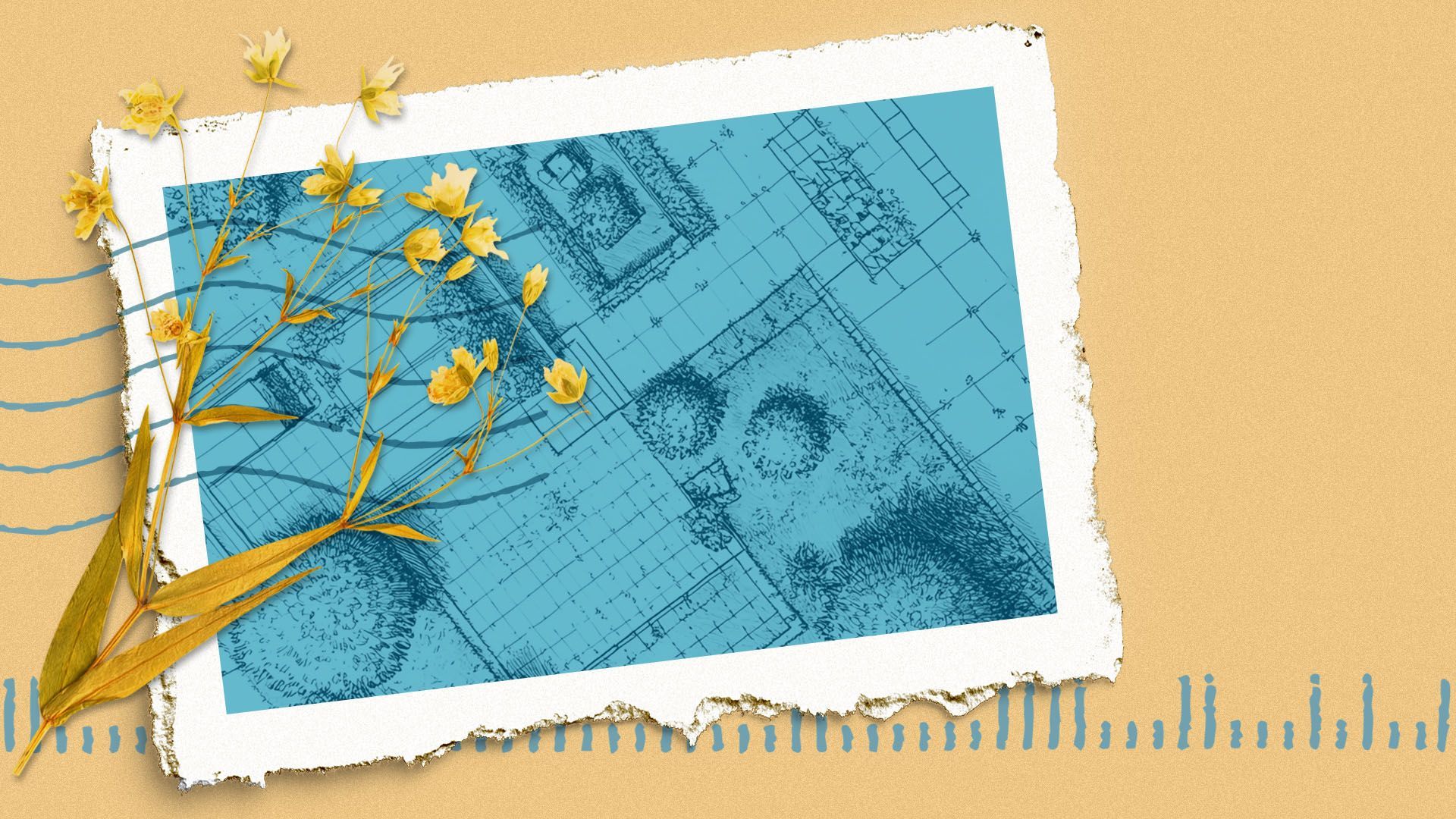 Illustration of a blueprint sketch with landscaping details in blue on white torn paper, overlaid with yellow dried flowers on a beige textured background with blue decorative lines.