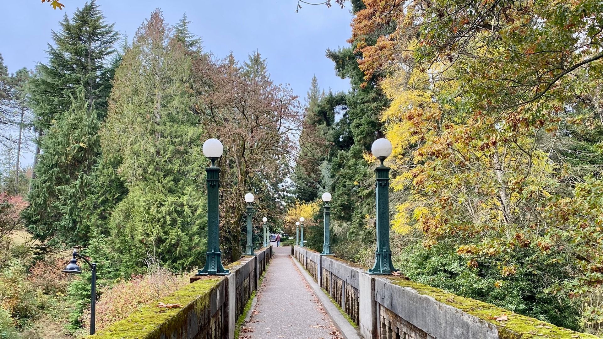 The mossy bridge at the Arboretum in Seattle. 