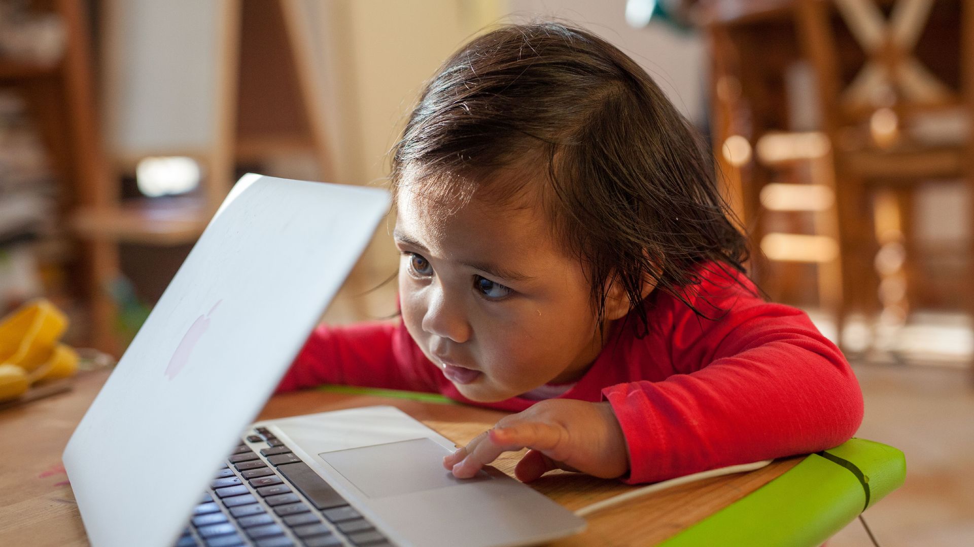 Toddler looks at Mac laptop.