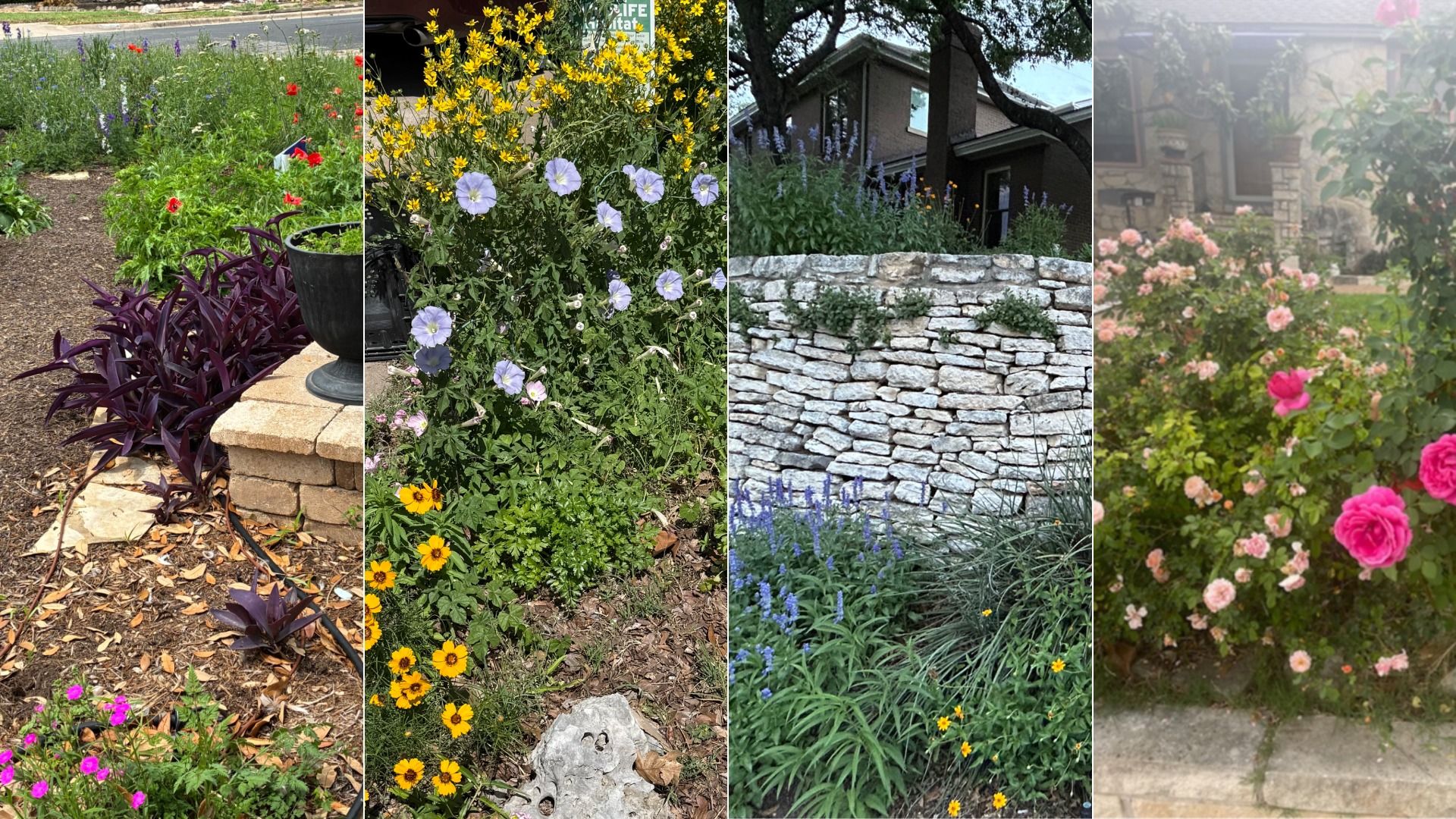 Four-panel garden collage: left panel shows purple-leaf foliage with red flowers; next shows yellow blooms with blue morning glories; third panel features a stacked stone wall with purple/blue flowers; right panel a pink rose bush by a house.