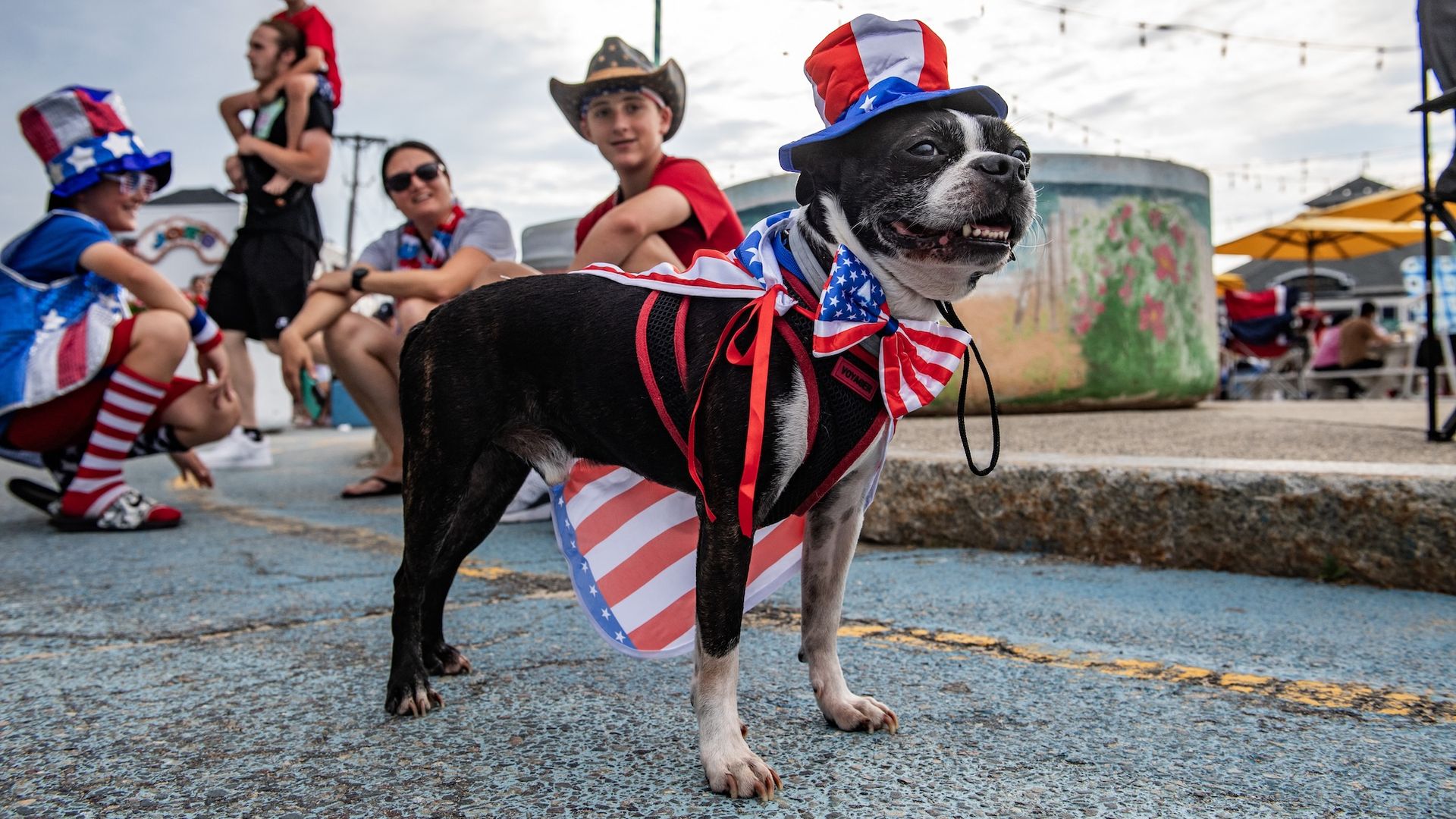 Black Boston Terrier wearing a red, white and blue hat and American flag bowtie and cape.
