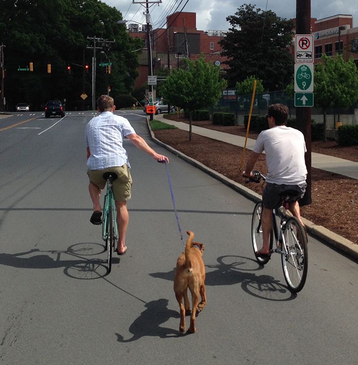 charlotte-bikers-and-dog