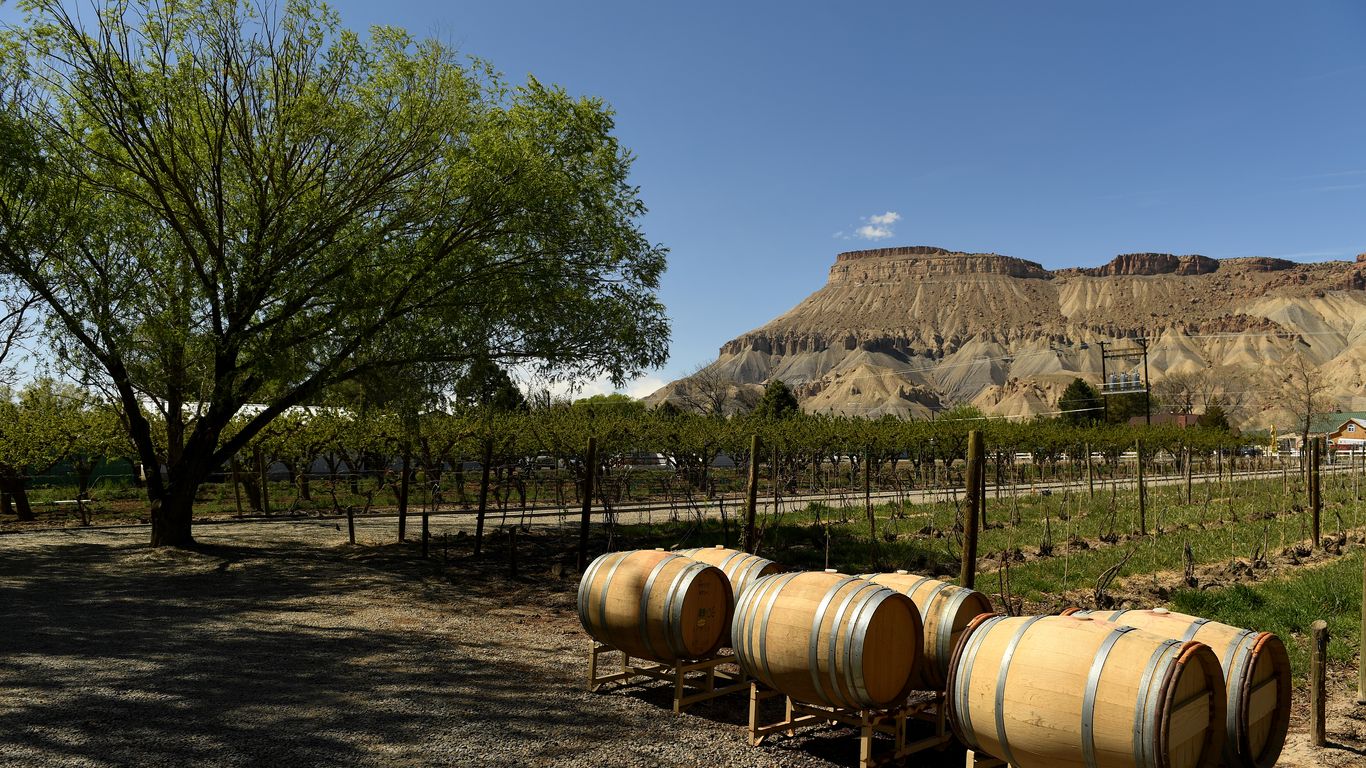 axios.com - John Frank - Colorado wines to impress