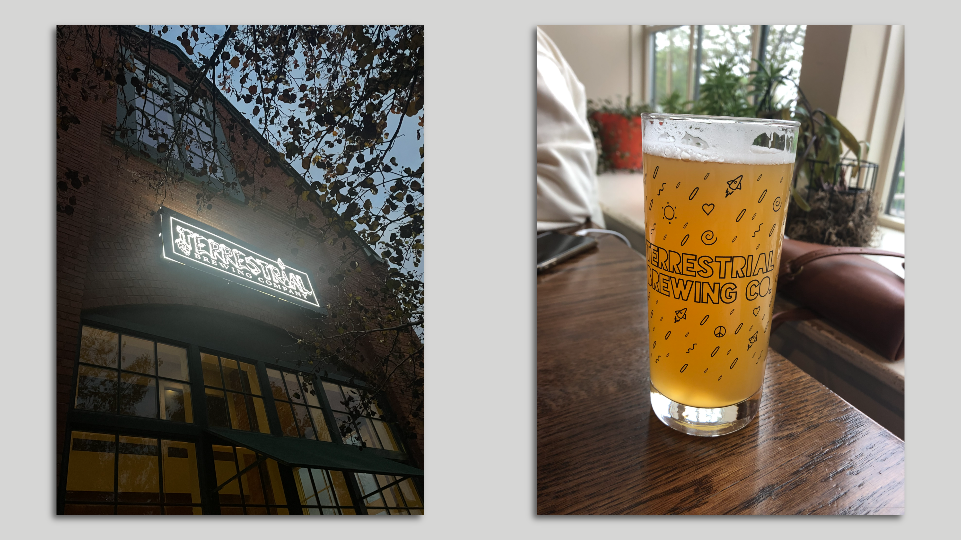 Side by side images: an exterior shot of Terrestrial Brewing Company in Cleveland (brick building), and beer in a Terrestrial glass