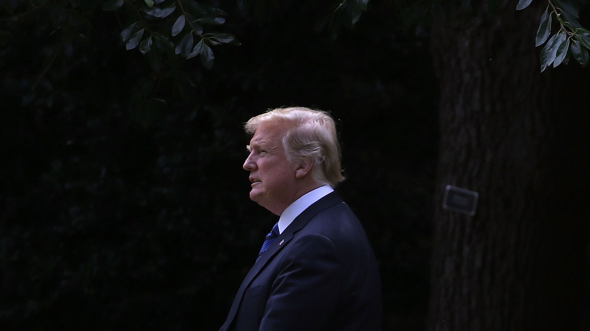 Donald Trump.
