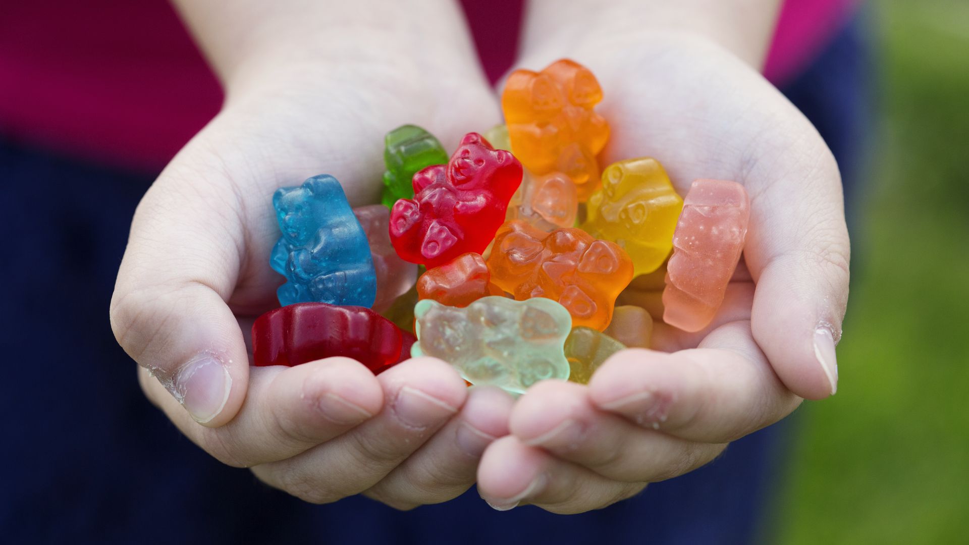 A child's cupped hands holding multicolored, gummy bear-shaped candy.
