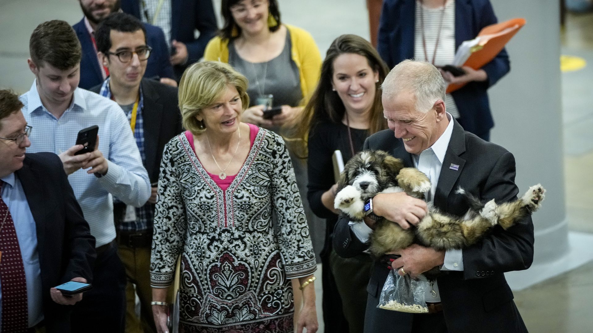 This is Lisa murkowski and thom tillis