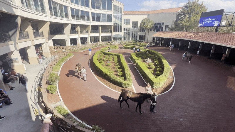 Horses are walked around a circular paddock at the center of a modern building with empty stalls on one side.