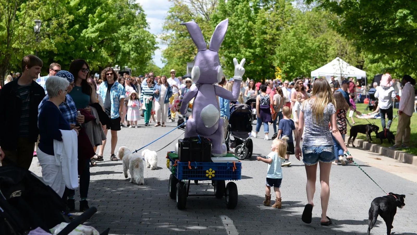 Richmond's Easter on Parade has a new organizer Axios Richmond