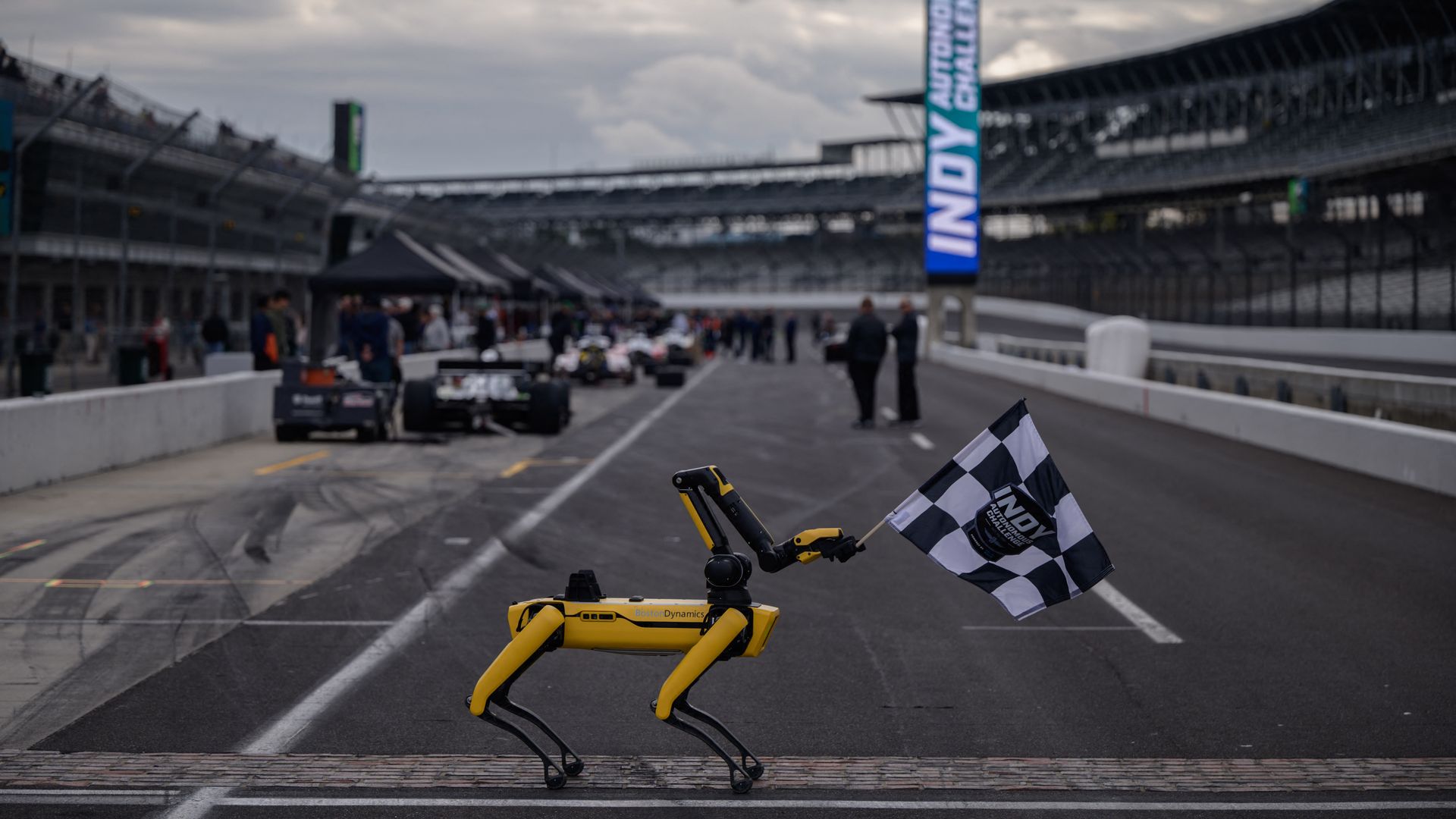 A Boston Dynamics' robot dog hold the starting flag on the grid of the Indy Autonomous Challenge race at the Indianapolis Speedway in Indianapolis on October 23, 2021.