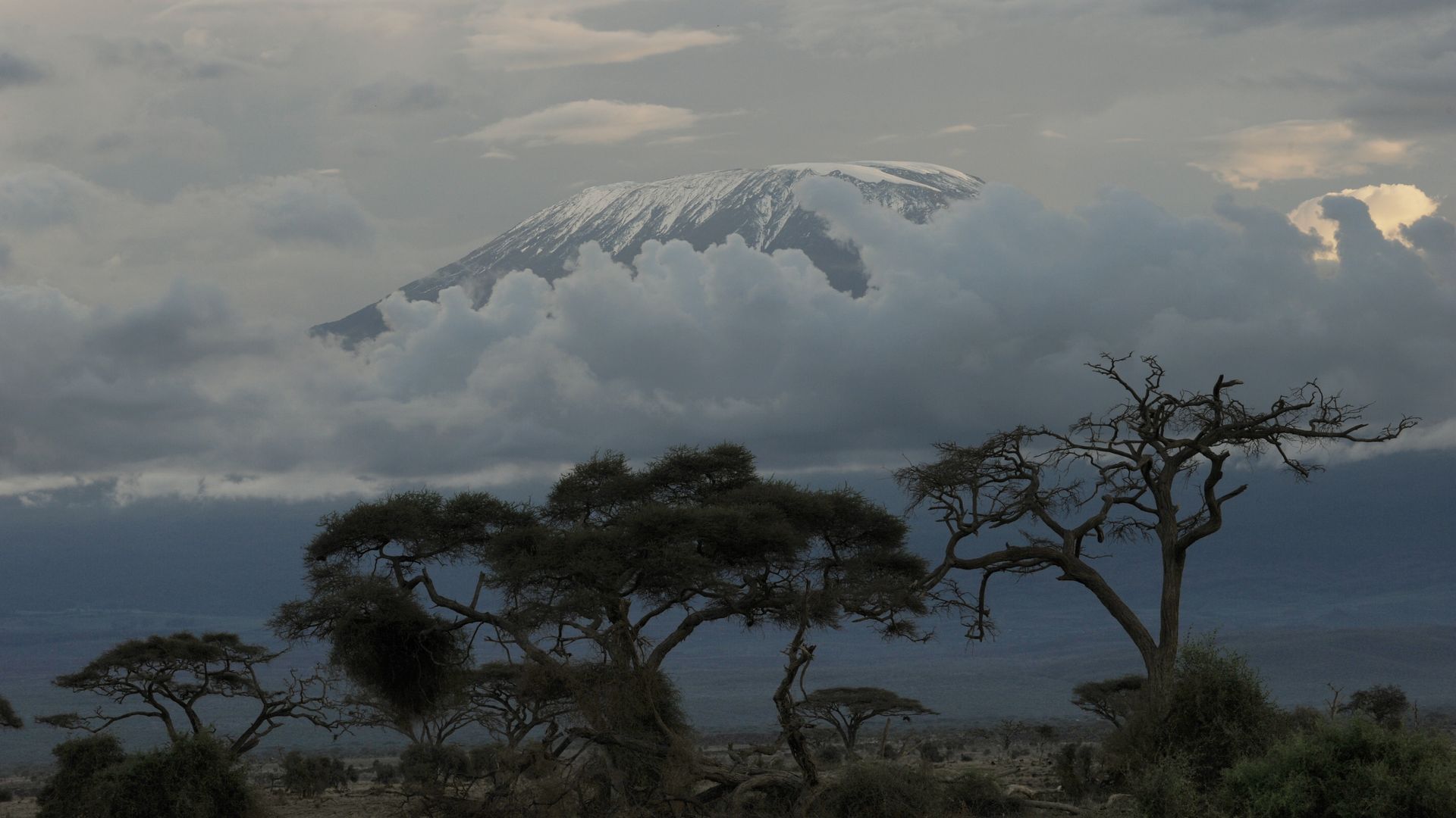 Mount Kilimanjaro in Tanzania partially covered by clouds in December 2009.