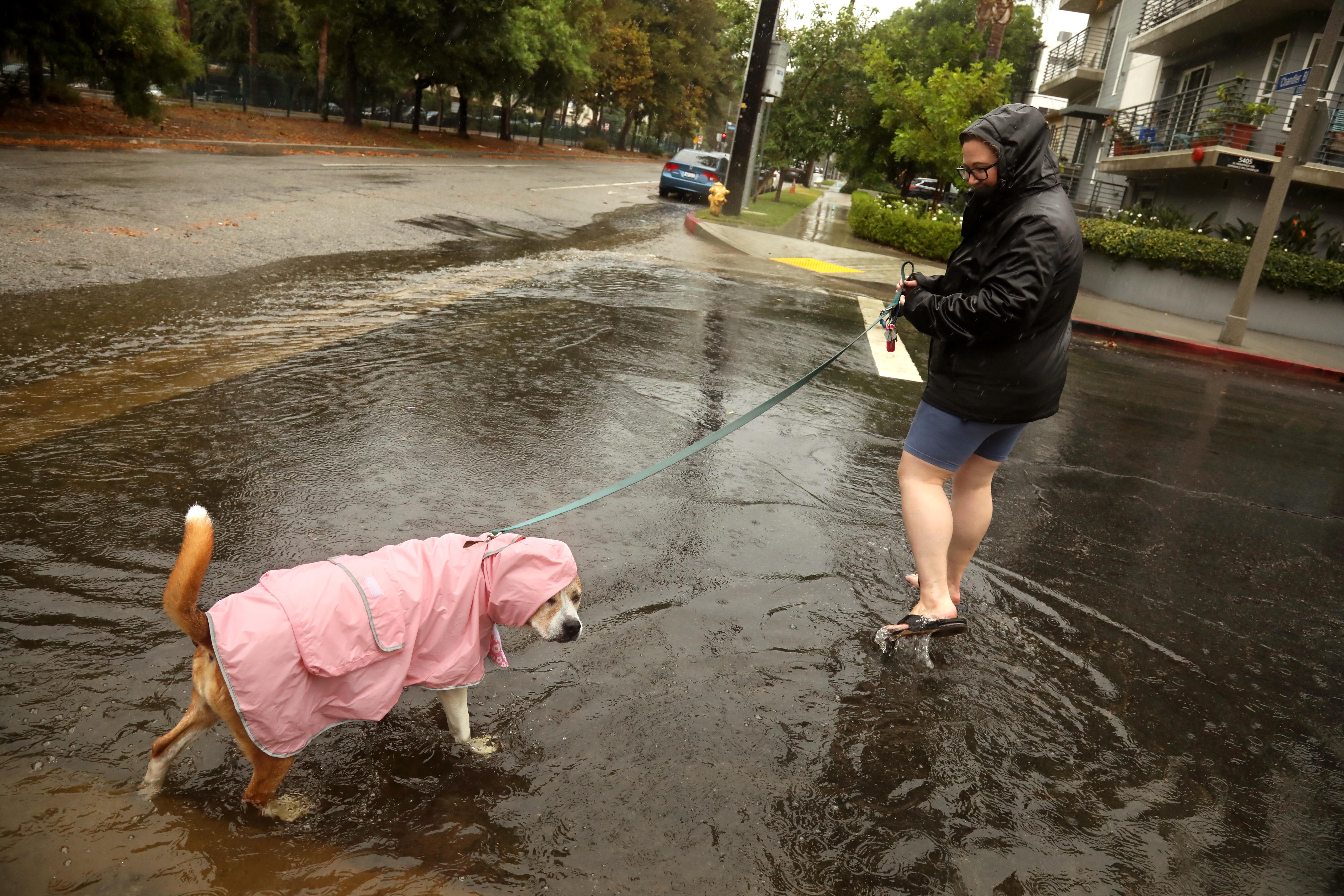 Hillary Tucker, 34, and her dog Oakley, make their way through a flooded street, due to rain from Hurricane Hilary, now a tropical storm, in Valley Village on August 20, 2023. Hillary, spelled with two "LL's" has been ribbed by her family that the hurricane was her namesake but said she was nicer than the weather event