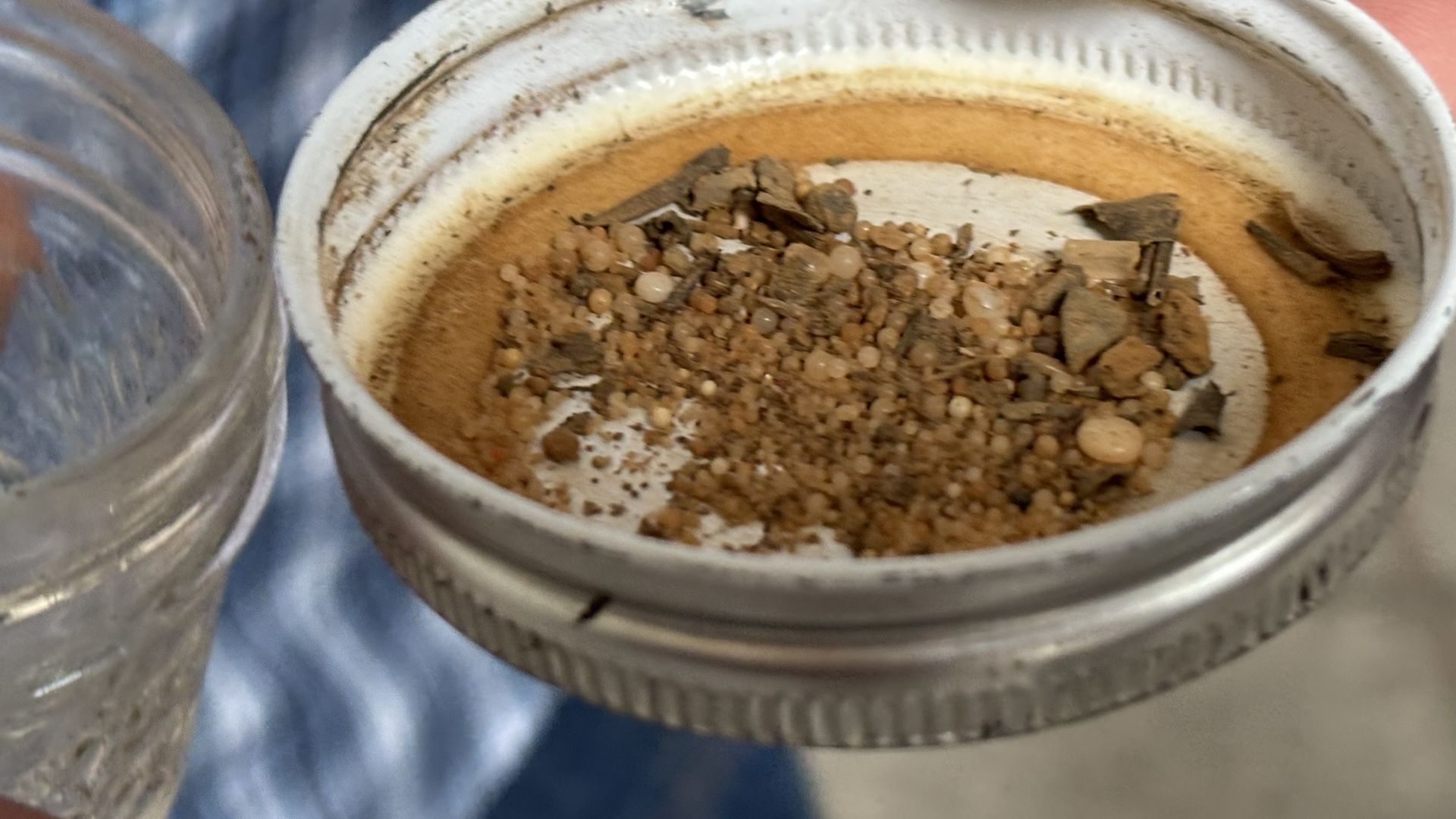 Close-up of a dirty white jar lid containing small brown and beige granules and debris, with rust-colored residue around the edge, held near a clear glass jar.