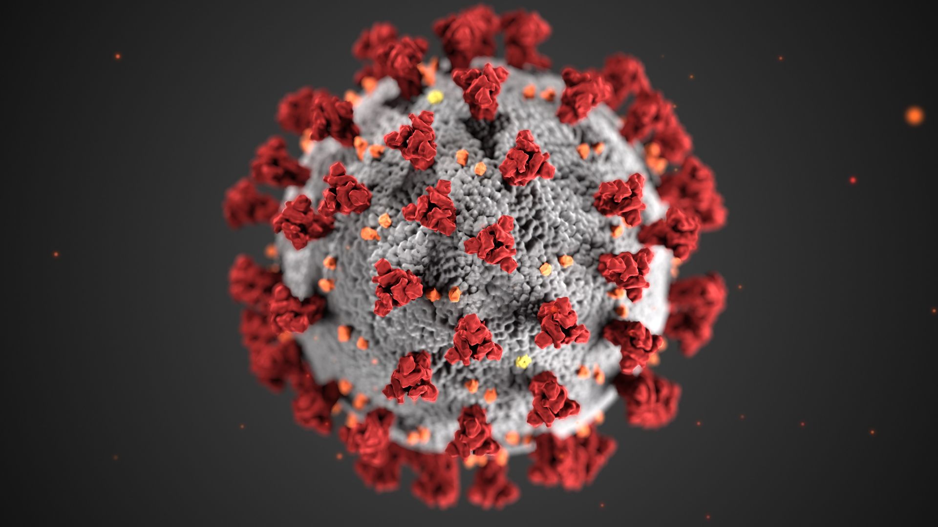Illustration of the coronavirus 2 (SARS-CoV-2) 