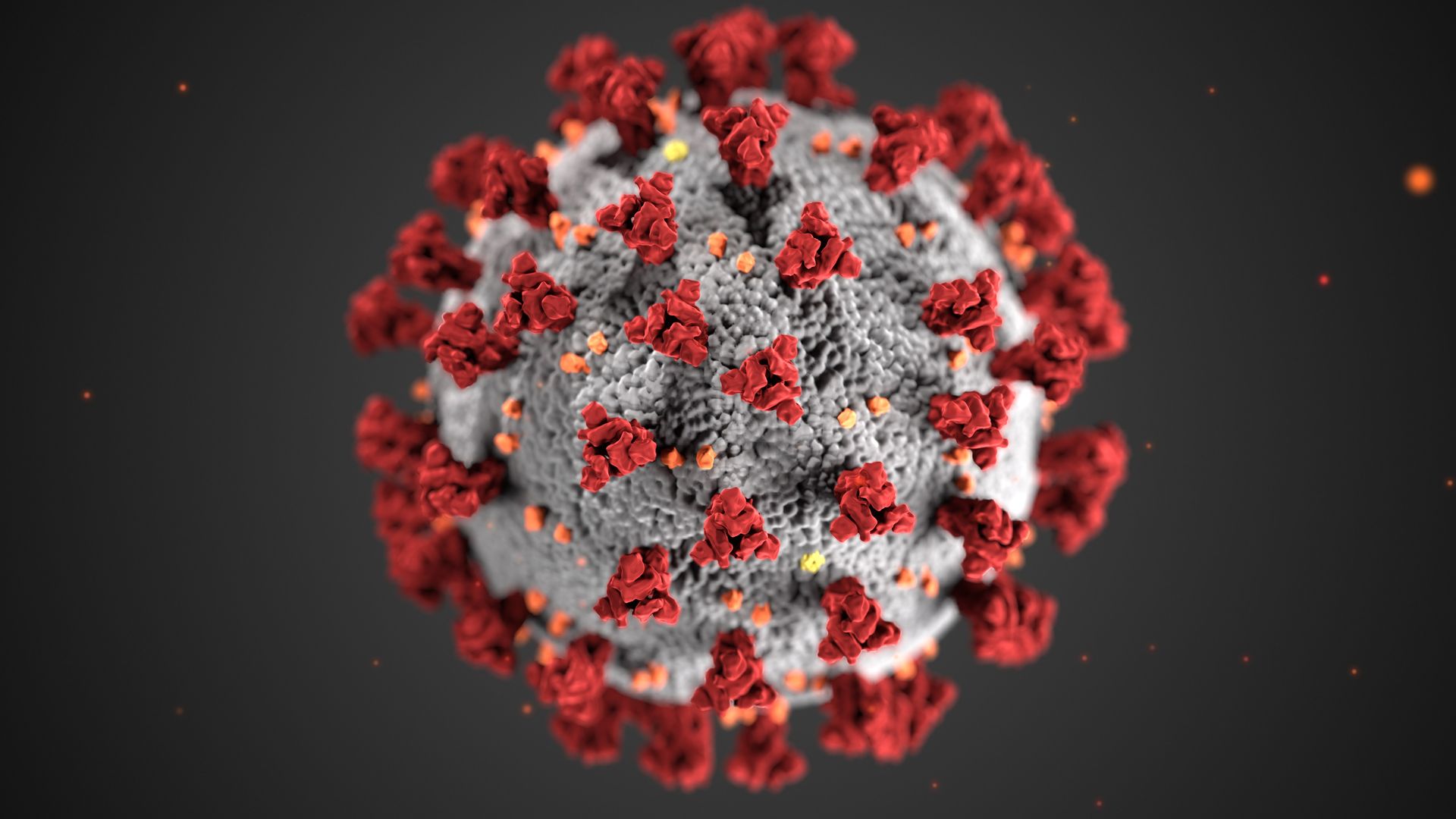 Illustration of the coronavirus 2 (SARS-CoV-2)