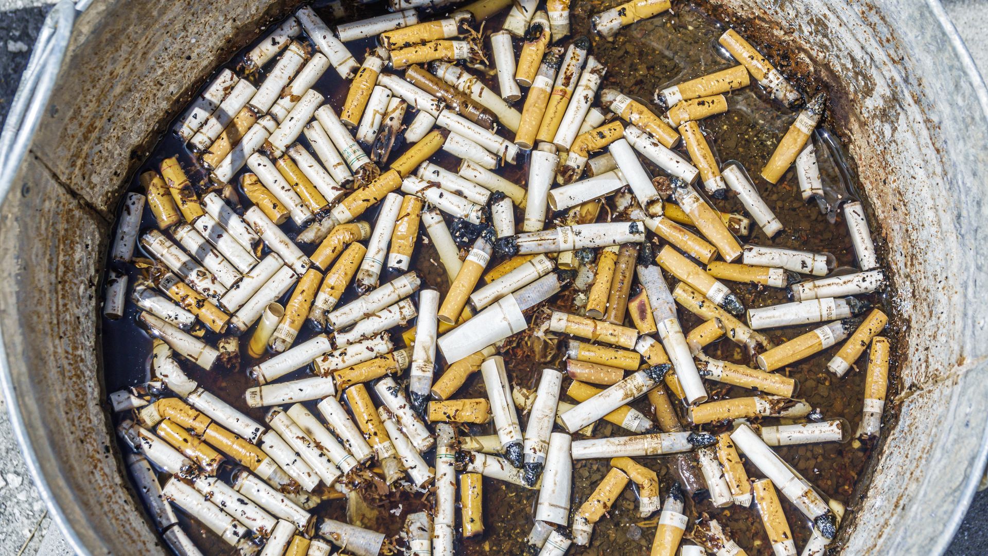 Florida, Arcadia, floating cigarette butts in bucket