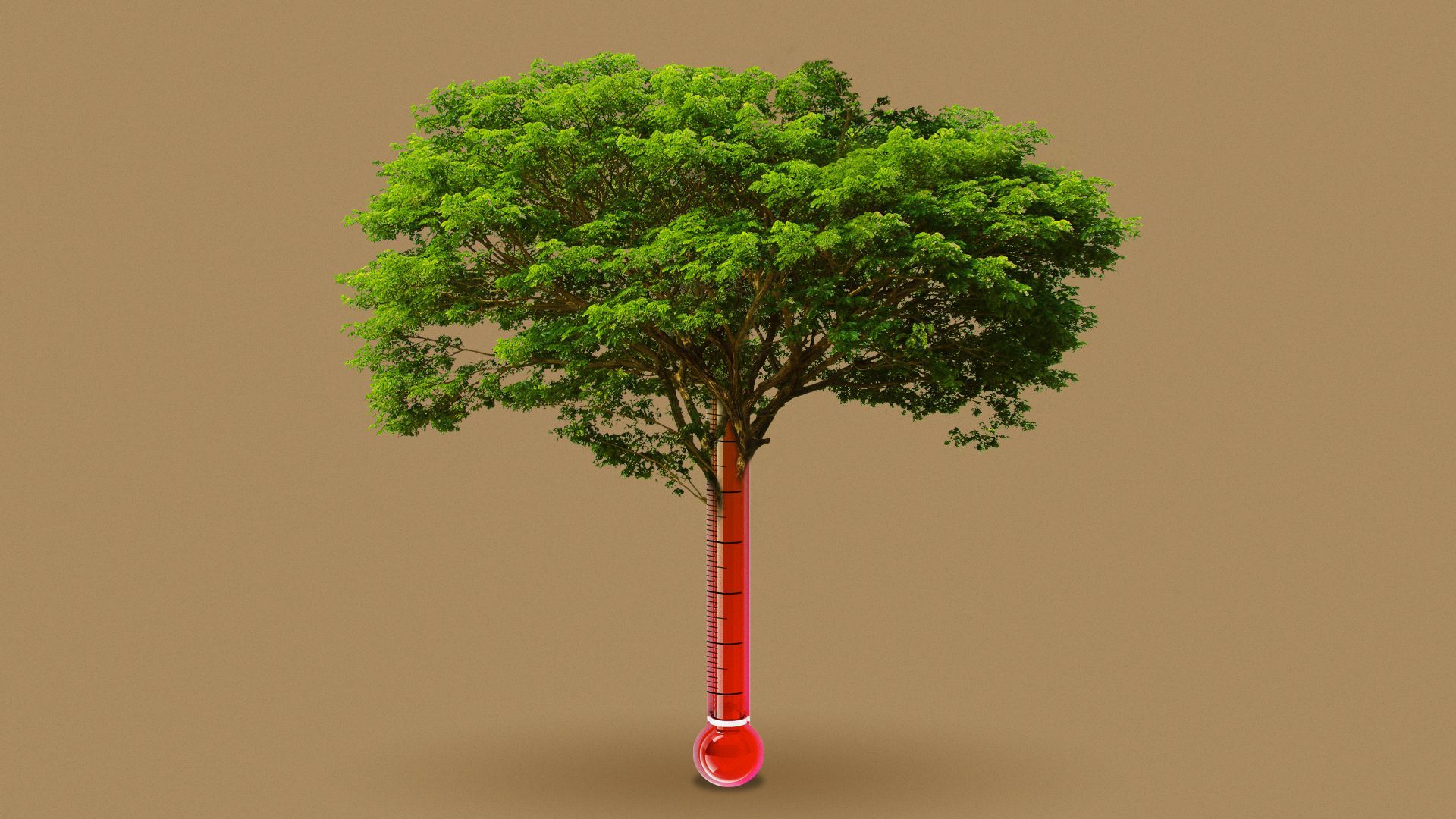 Illustration of a tree growing out of a thermometer with a high temperature.