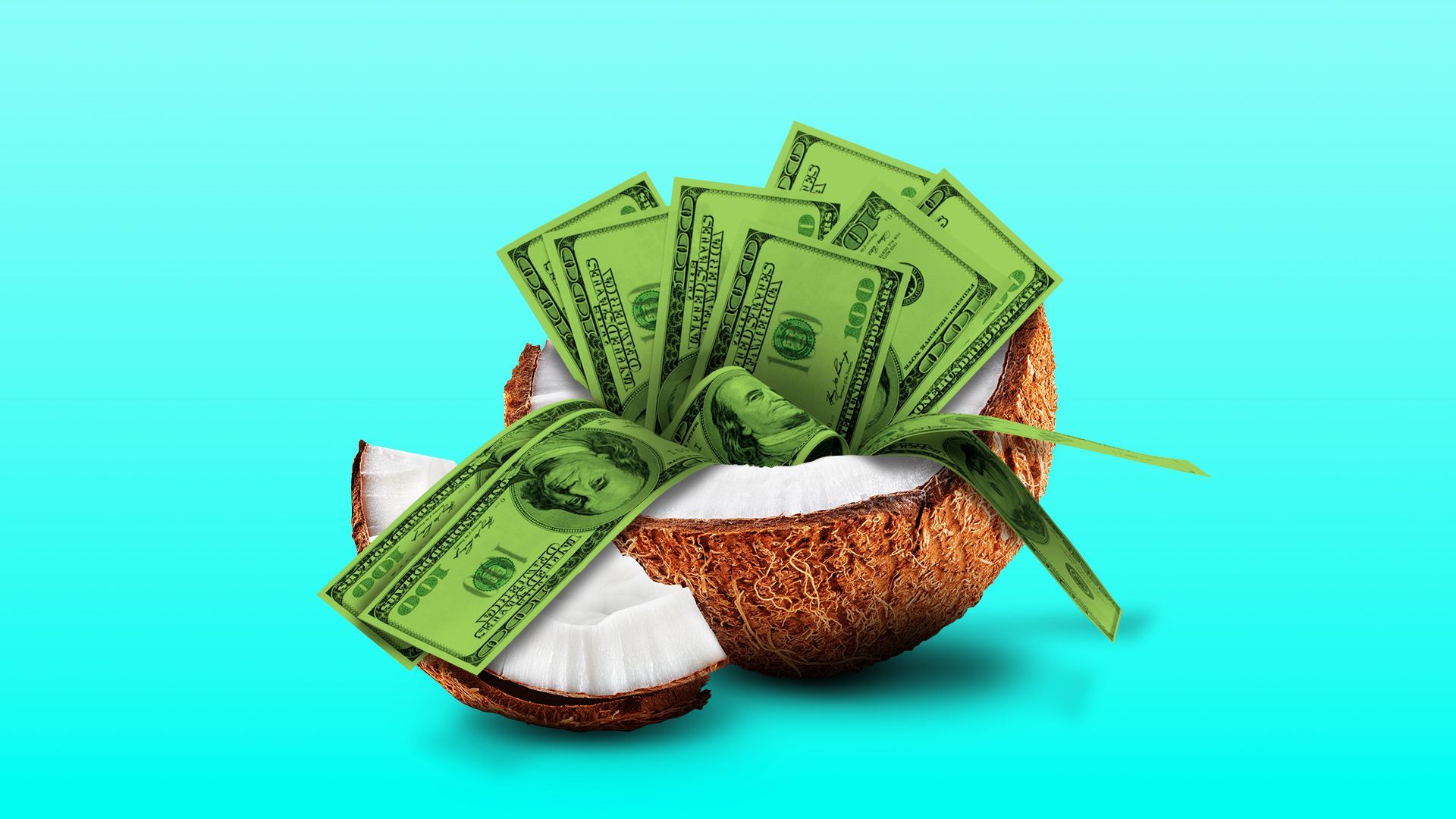 Illustration of money in a coconut. 