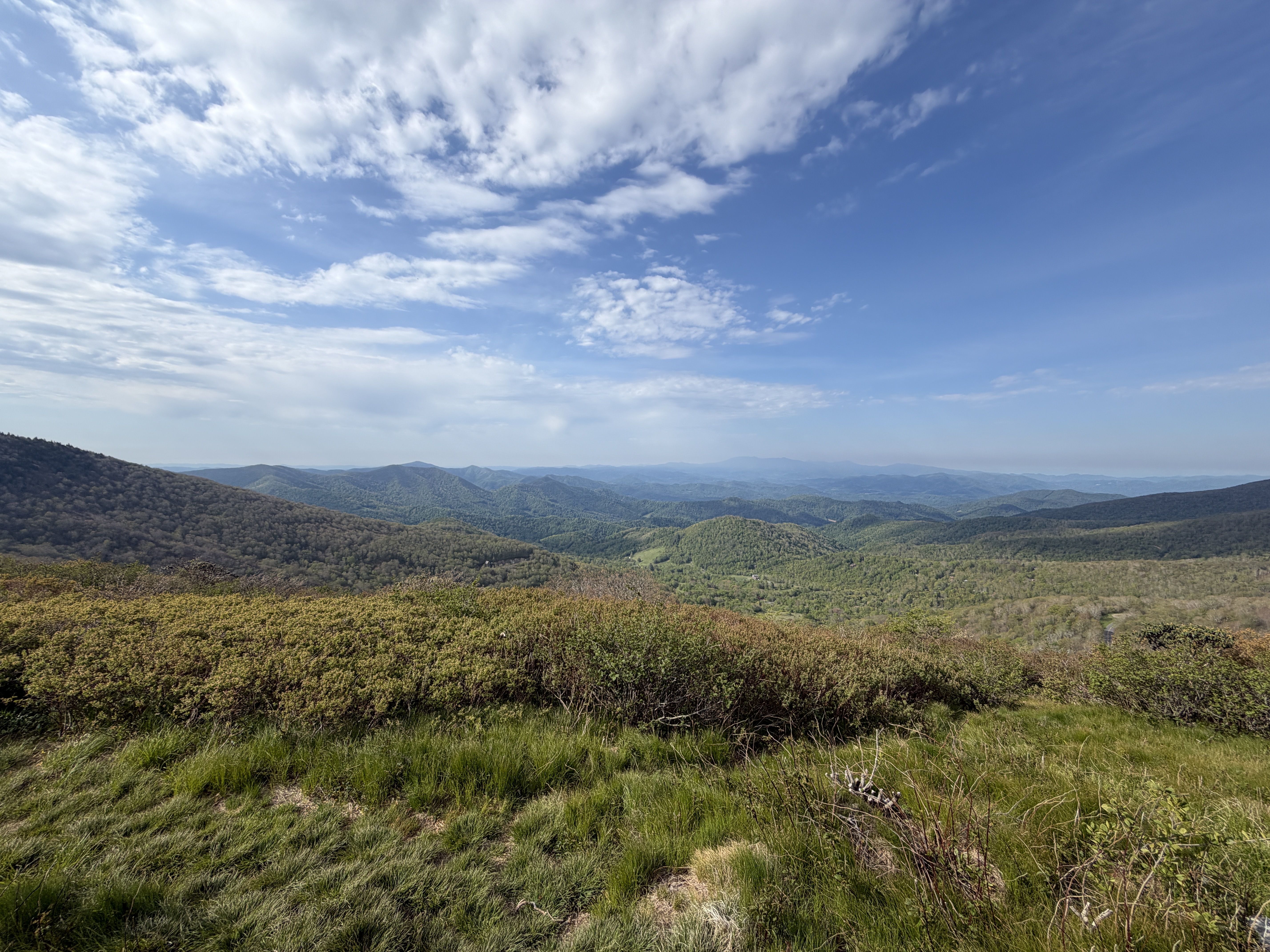 Panoramic hillside view: layered green mountains under a clear blue sky with fluffy white clouds. Foreground shrubs and tall grass frame the lower edge.