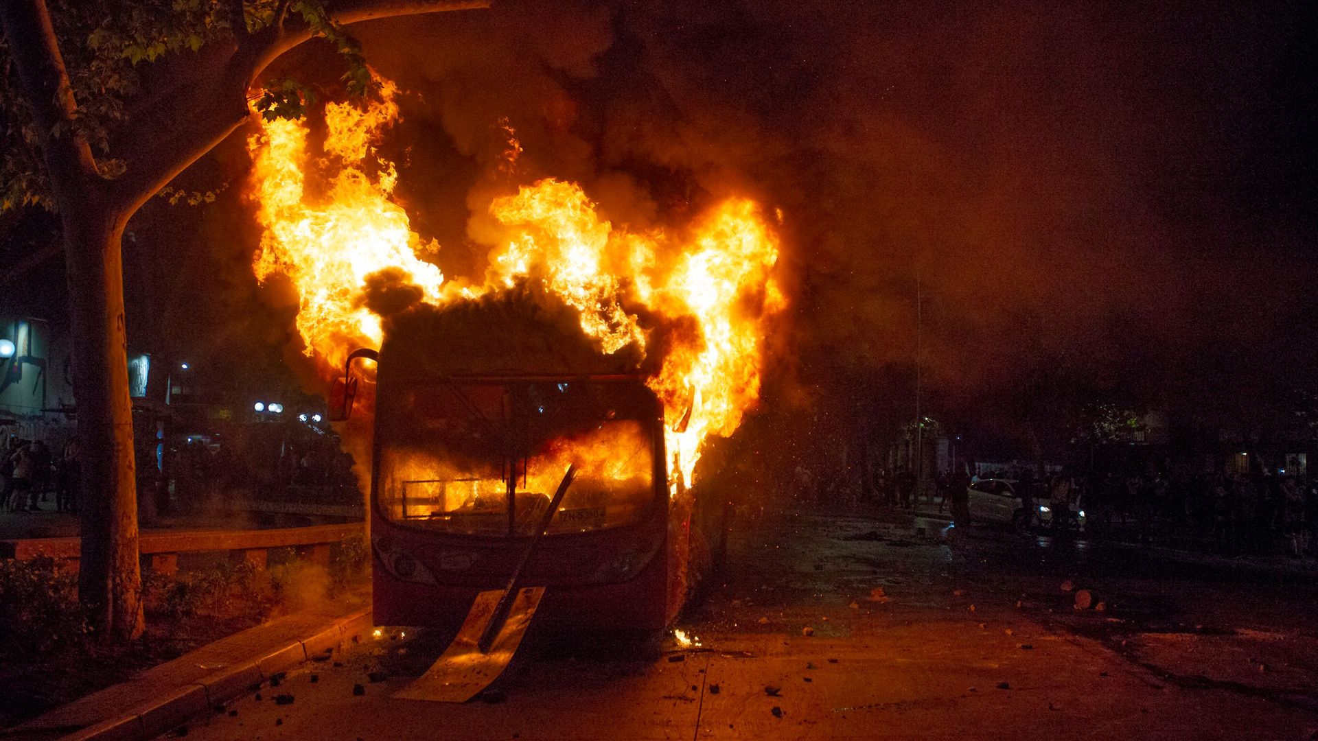 In this image, a bus is on fire in the street next to a tree