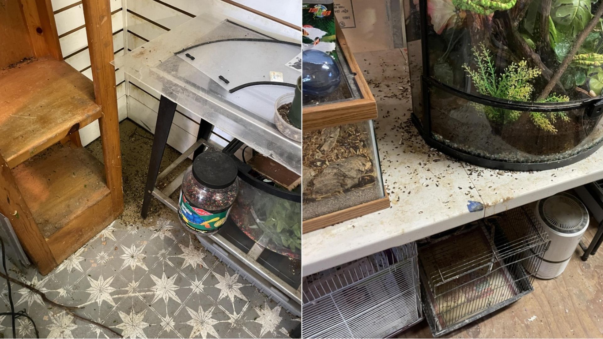 Two images showing a cluttered and dirty indoor space with pet cages, fish tanks, debris, and scattered dirt on floors and surfaces.