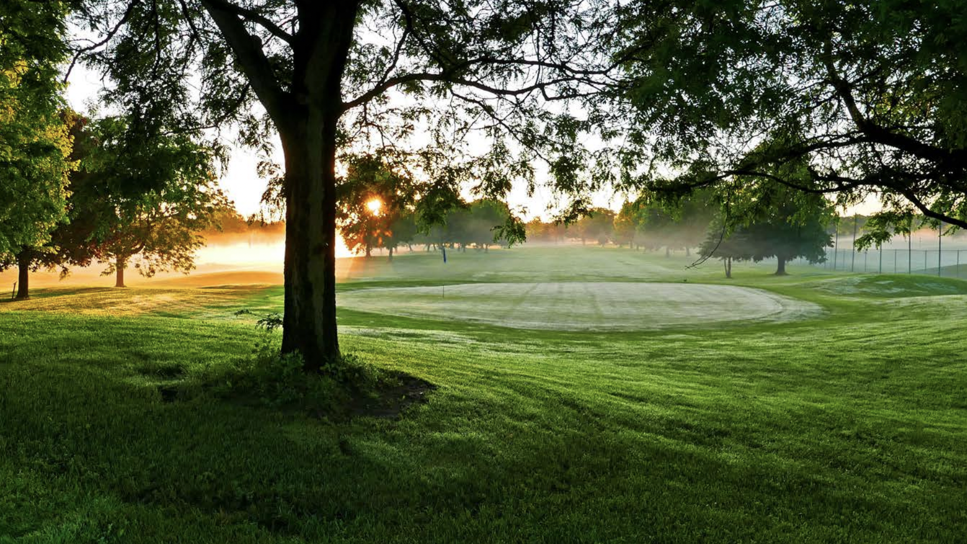 The green at Hiawatha Golf Course in South Minneapolis.