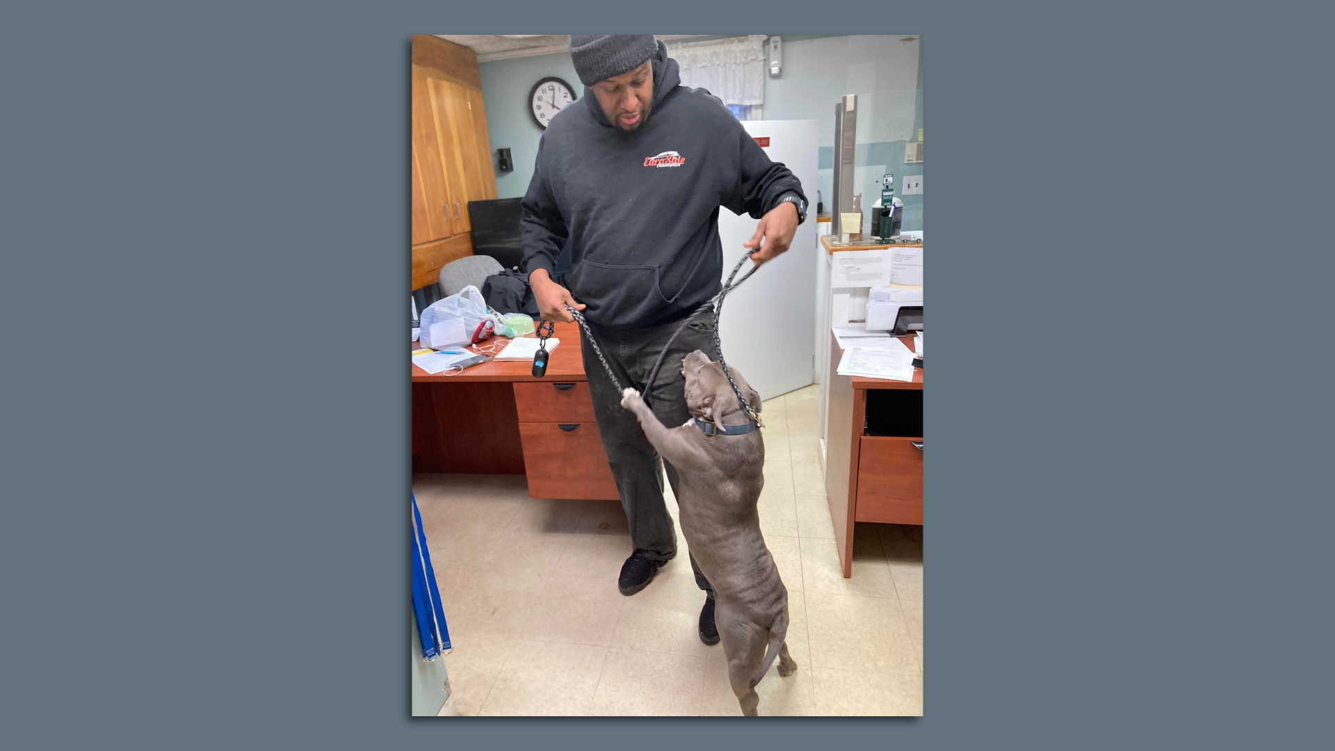 A dog jumps on her owner