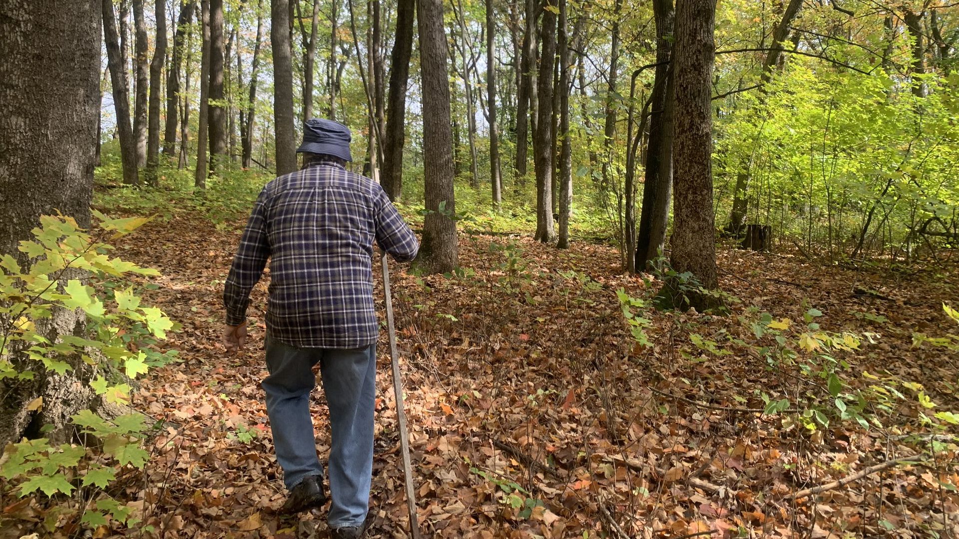 A man wearing a flannel shirt and holding a walking stick walks through a forest.