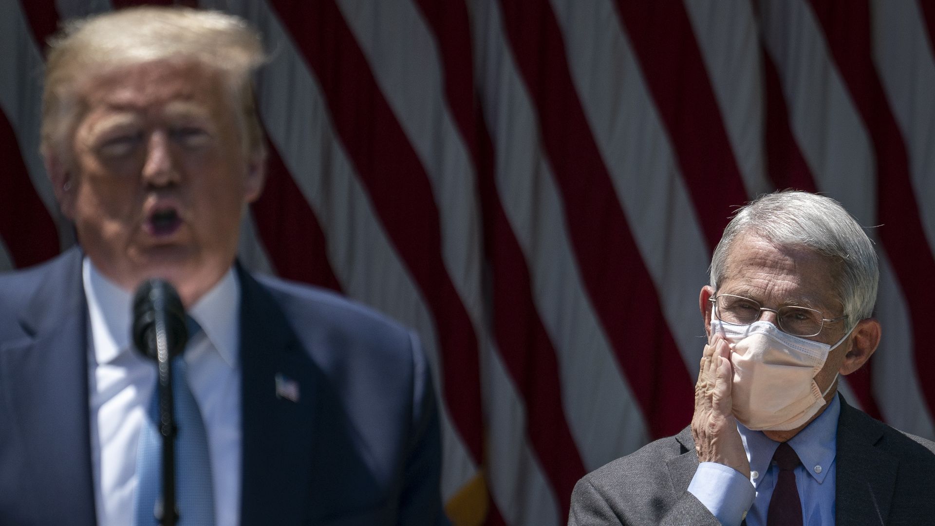Anthony Fauci with President Trump on May 15.