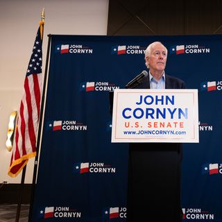 MAGA ramps up pressure on Trump to dump Cornyn